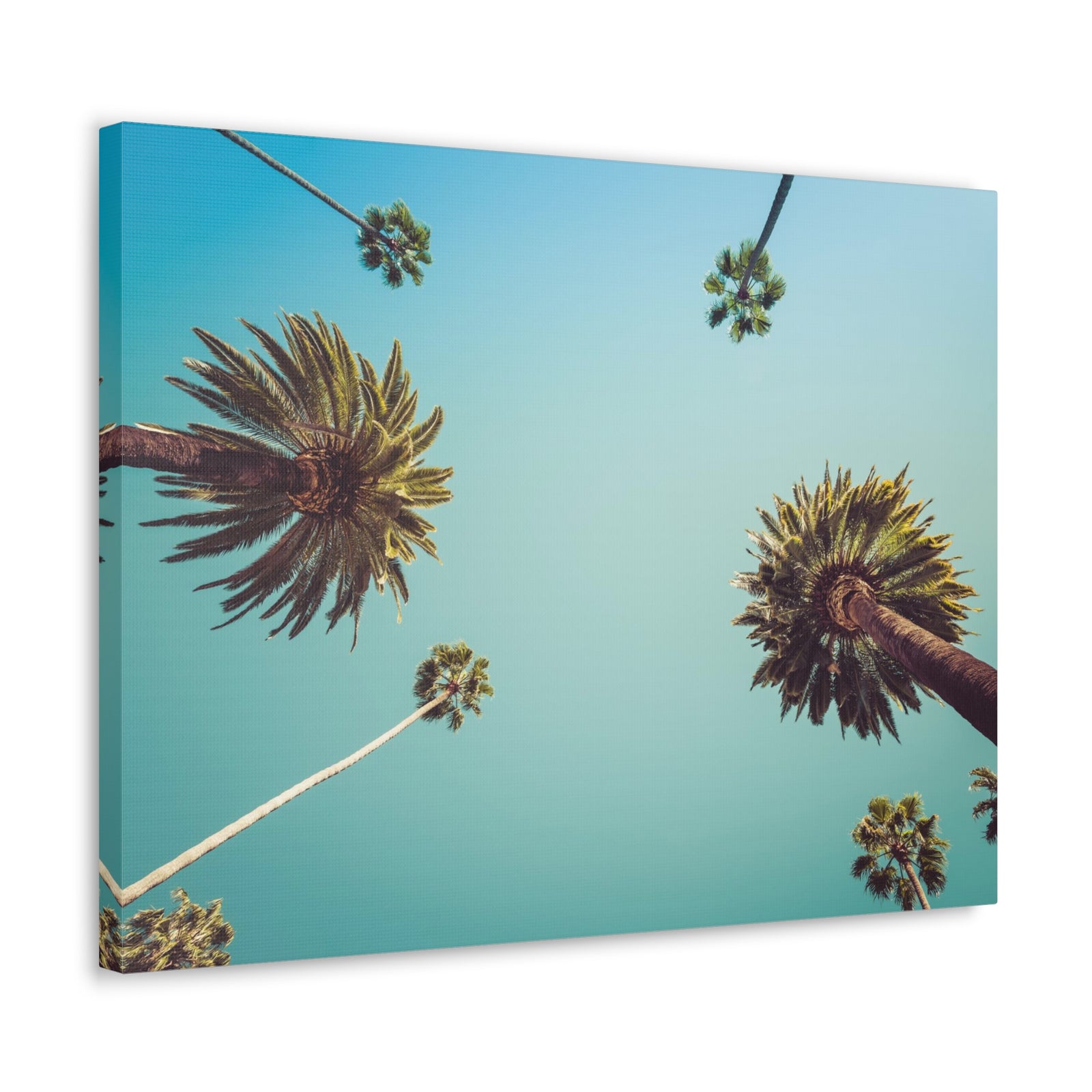 Los Angeles Palm Trees Modern Multicolor Scenic Nature Photography Canvas Home Office Decor Ready to Hang-Express Your Love Gifts