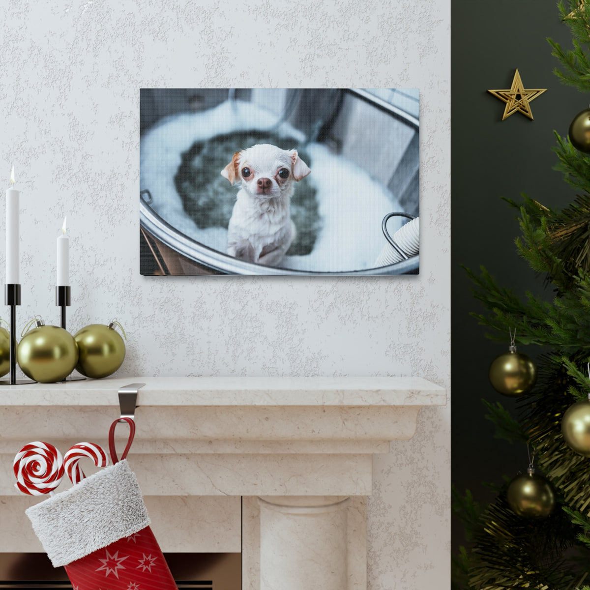 Cute Chihuahua Bathee Canvas Wall Art for Home Decor Ready-to-Hang-Express Your Love Gifts