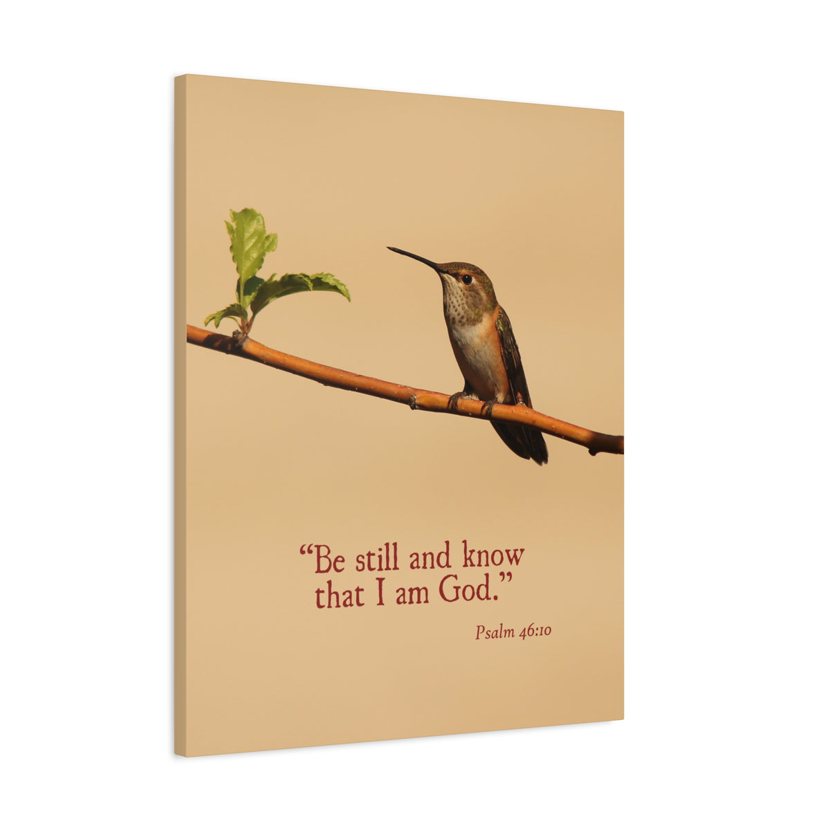 Scripture Canvas Know That I Am God Psalm 46:10 Christian Wall Art Bible Verse Print Ready to Hang-Express Your Love Gifts
