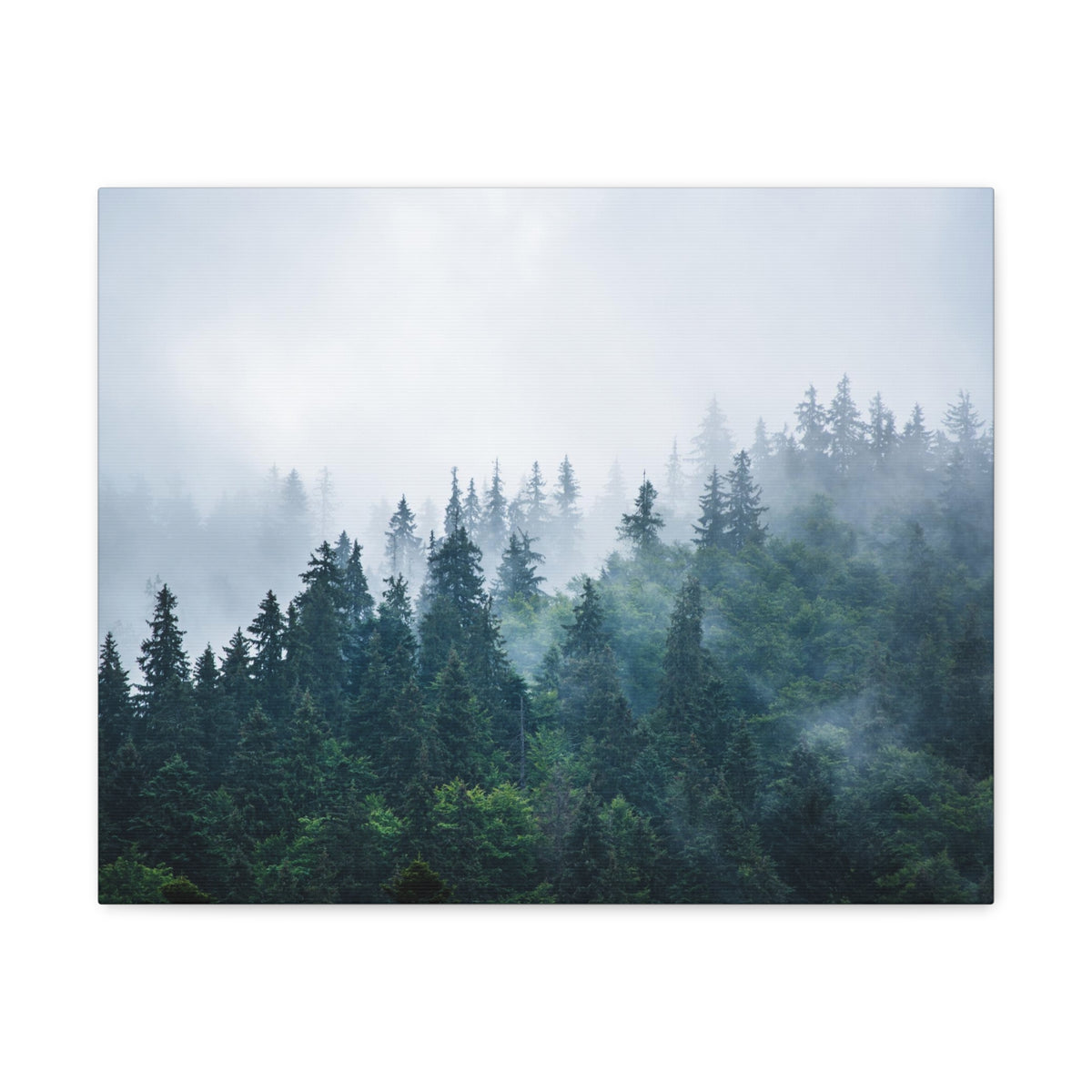 Misty Dark Mountain Forest Nature Wilderness Photography Canvas Wall Art for Home Decor Ready-to-Hang-Express Your Love Gifts