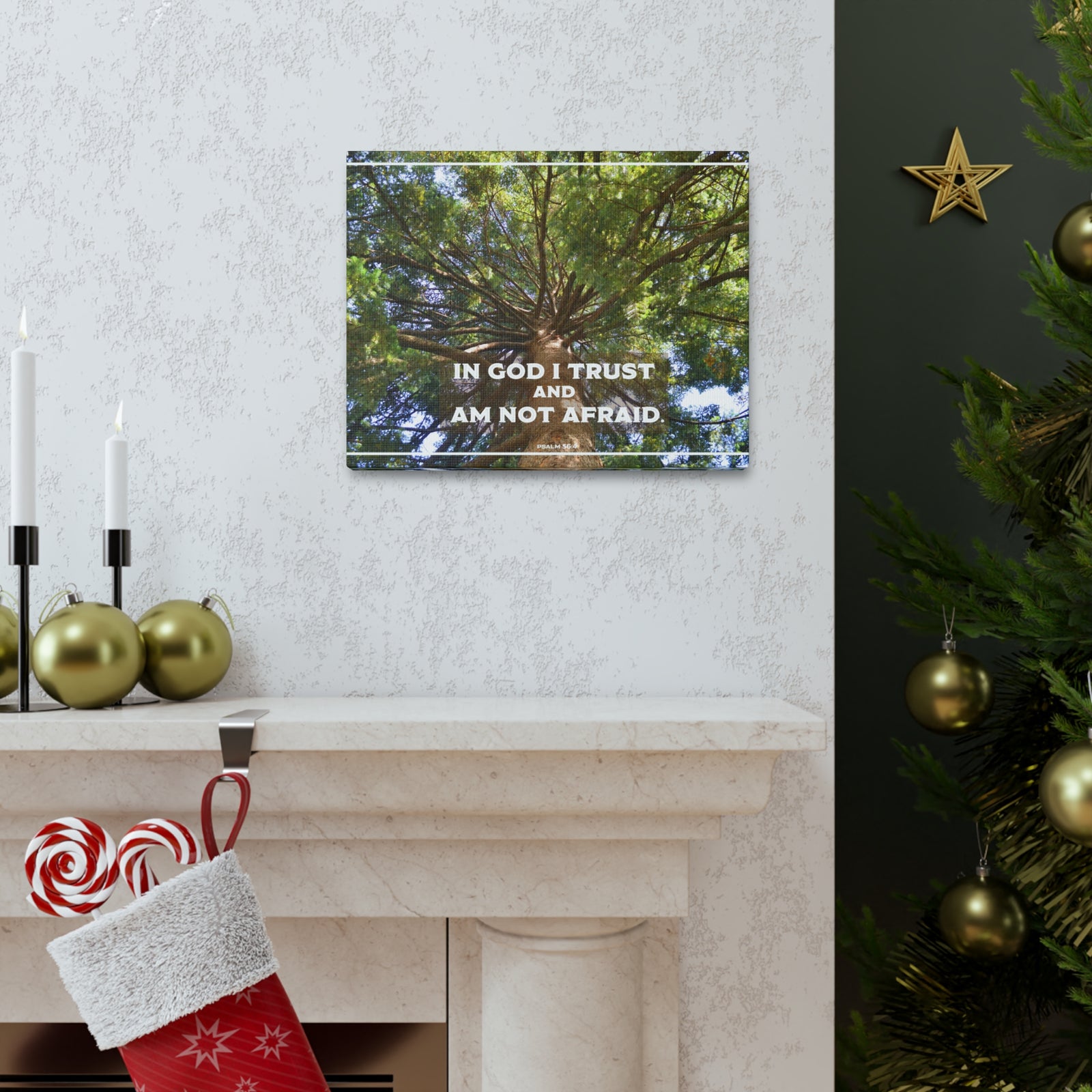 Scripture Walls In God I Trust Psalm 56:4 Bible Verse Canvas Christian Wall Art Ready to Hang-Express Your Love Gifts