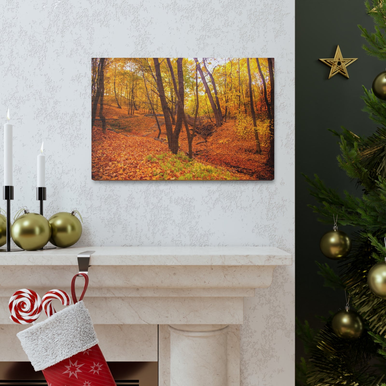 Fall Orange Tree Forest Nature Wilderness Photography Canvas Wall Art for Home Decor Ready-to-Hang-Express Your Love Gifts