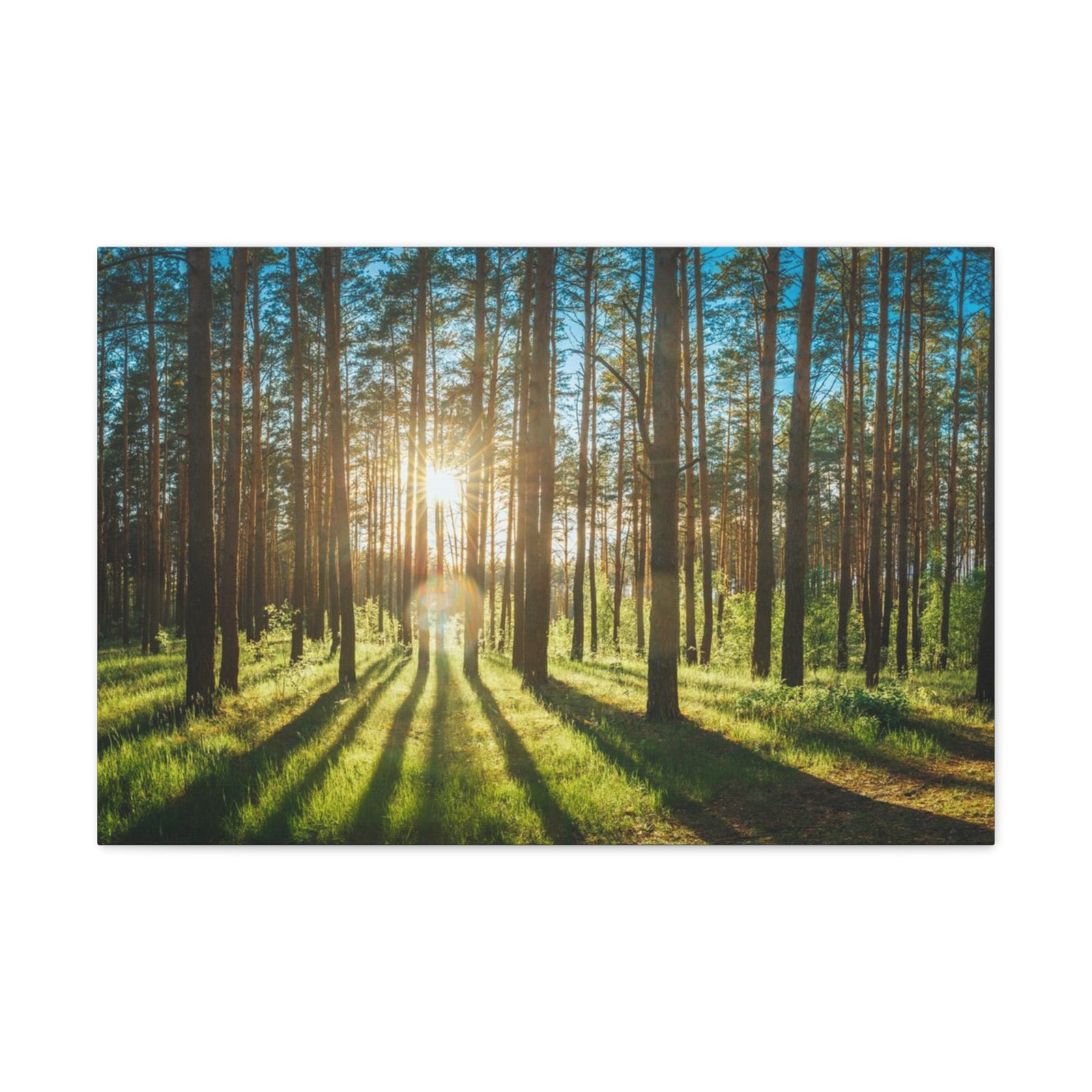 Forest Green Sunrise Nature Wilderness Photography Canvas Wall Art for Home Decor Ready-to-Hang-Express Your Love Gifts