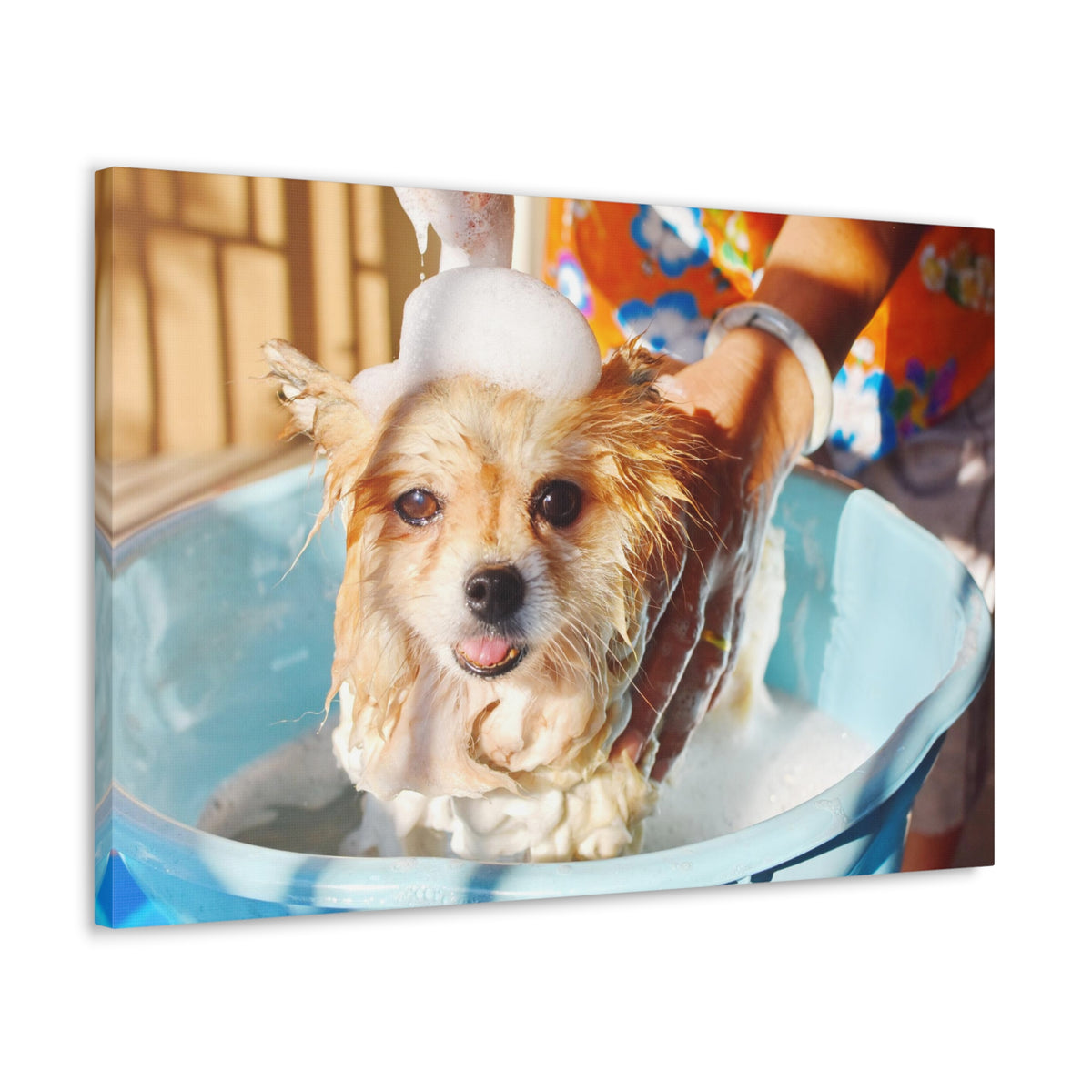 Cute Pomeranian Bathee Canvas Wall Art for Home Decor Ready-to-Hang-Express Your Love Gifts