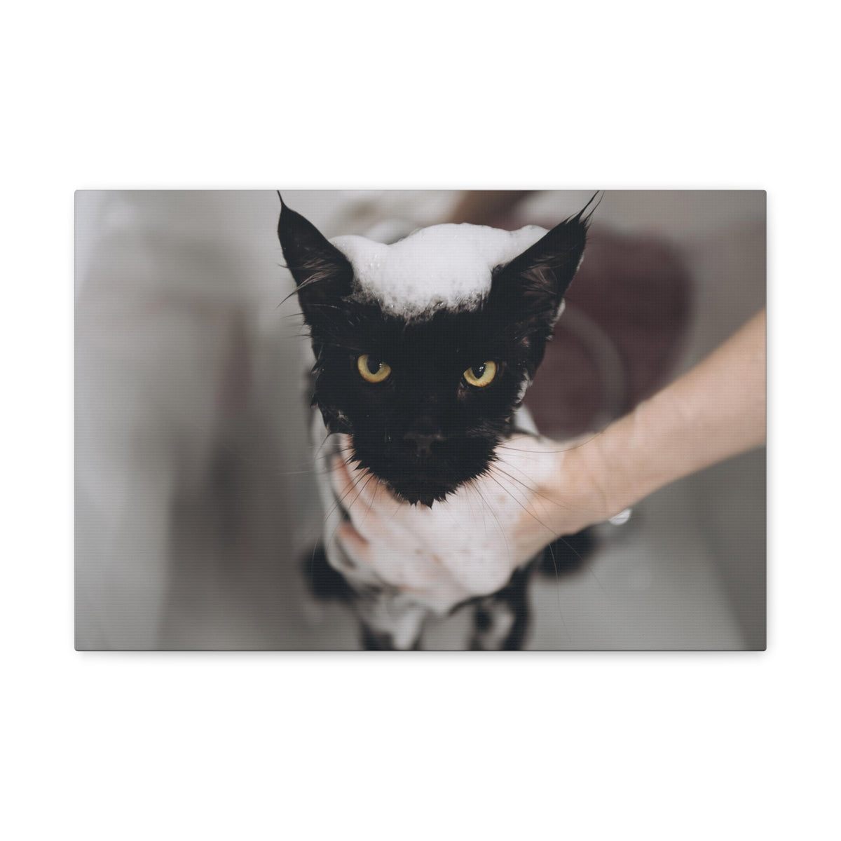 Cute Main Coon Bathee Canvas Wall Art for Home Decor Ready-to-Hang-Express Your Love Gifts