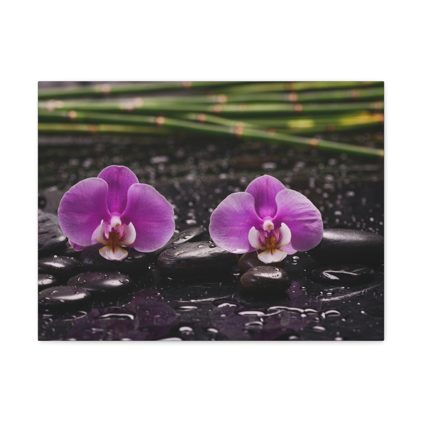 Two Pink Orchid Forest Floral Nature Photography Canvas Wall Art for Home Decor Ready-to-Hang-Express Your Love Gifts