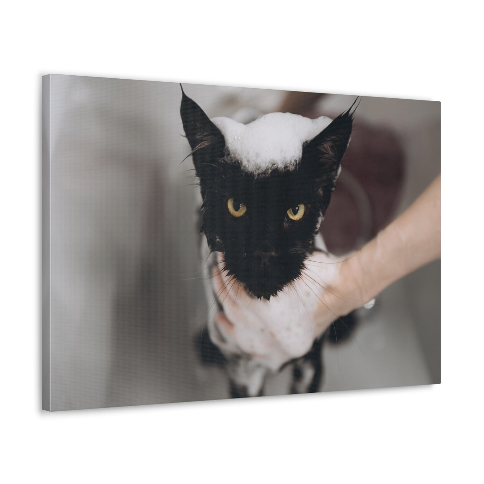 Cute Main Coon Bathee Canvas Wall Art for Home Decor Ready-to-Hang-Express Your Love Gifts
