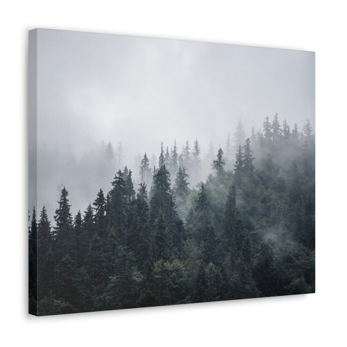 Foggy Pine Tree Green Forest Nature Wilderness Photography Canvas Wall Art for Home Decor Ready-to-Hang-Express Your Love Gifts