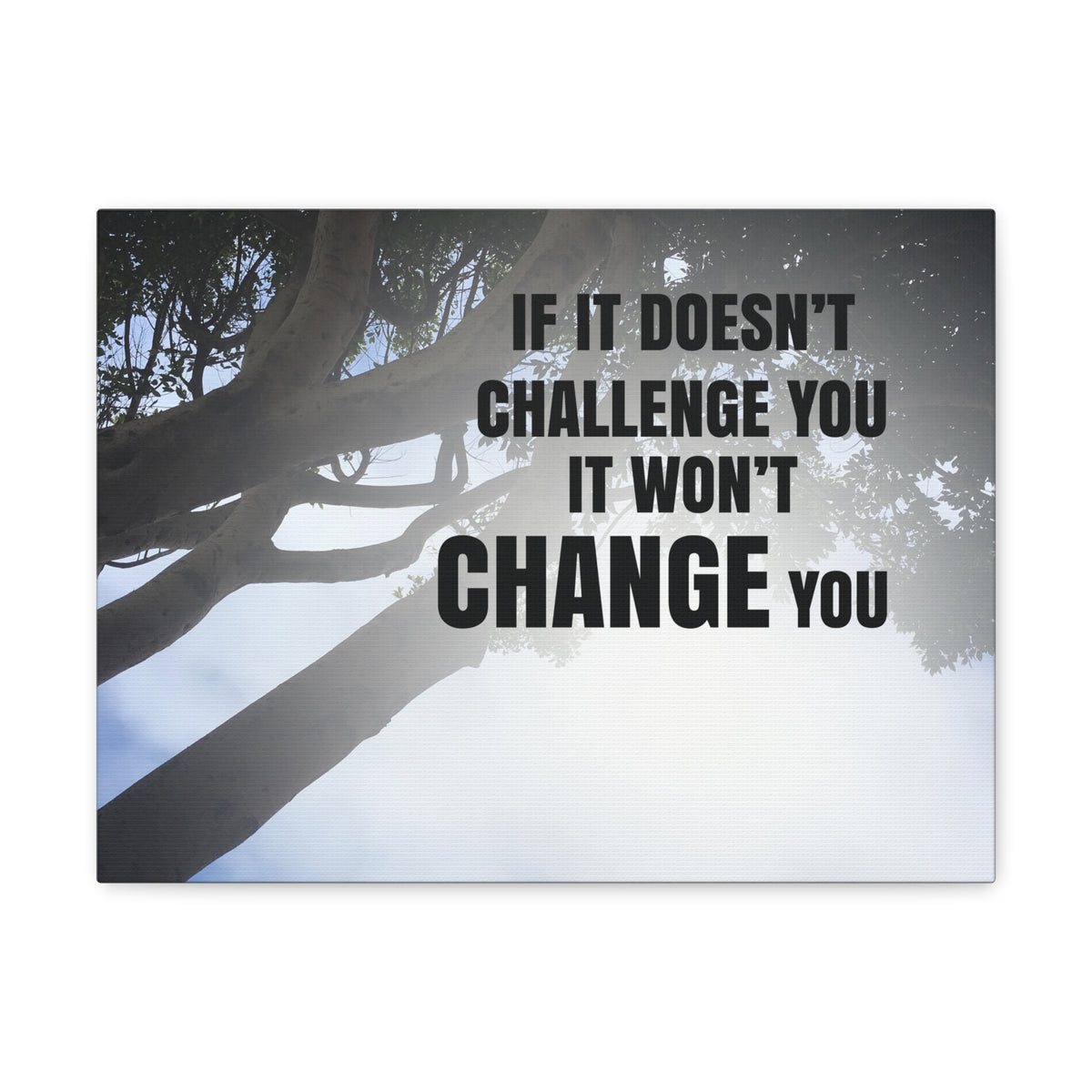 Inspirational Quote Canvas It Won't Change You Wall Art Motivational Motto Inspiring Prints Artwork Decor Ready to Hang-Express Your Love Gifts