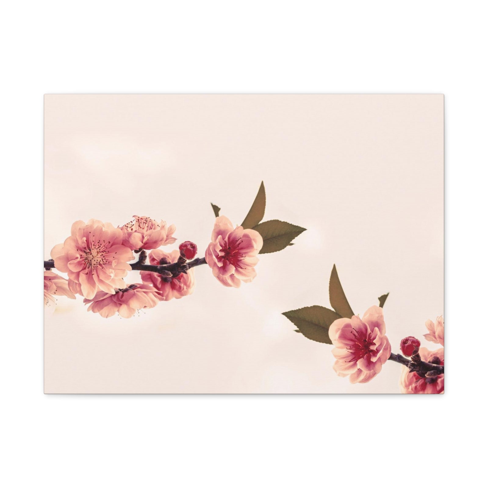 Peach Blossoms with Space Forest Floral Nature Photography Canvas Wall Art for Home Decor Ready-to-Hang-Express Your Love Gifts
