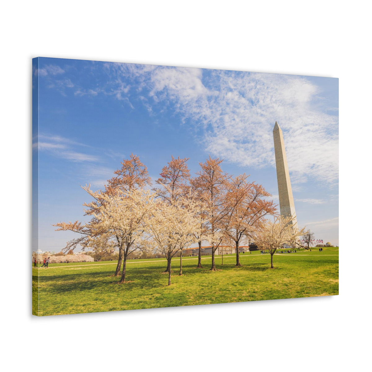 Pink Tree Cherry Blossom Festival at The National Mall Washington Modern Multicolor Scenic Nature Photography Canvas Home Office Decor Ready to Hang-Express Your Love Gifts