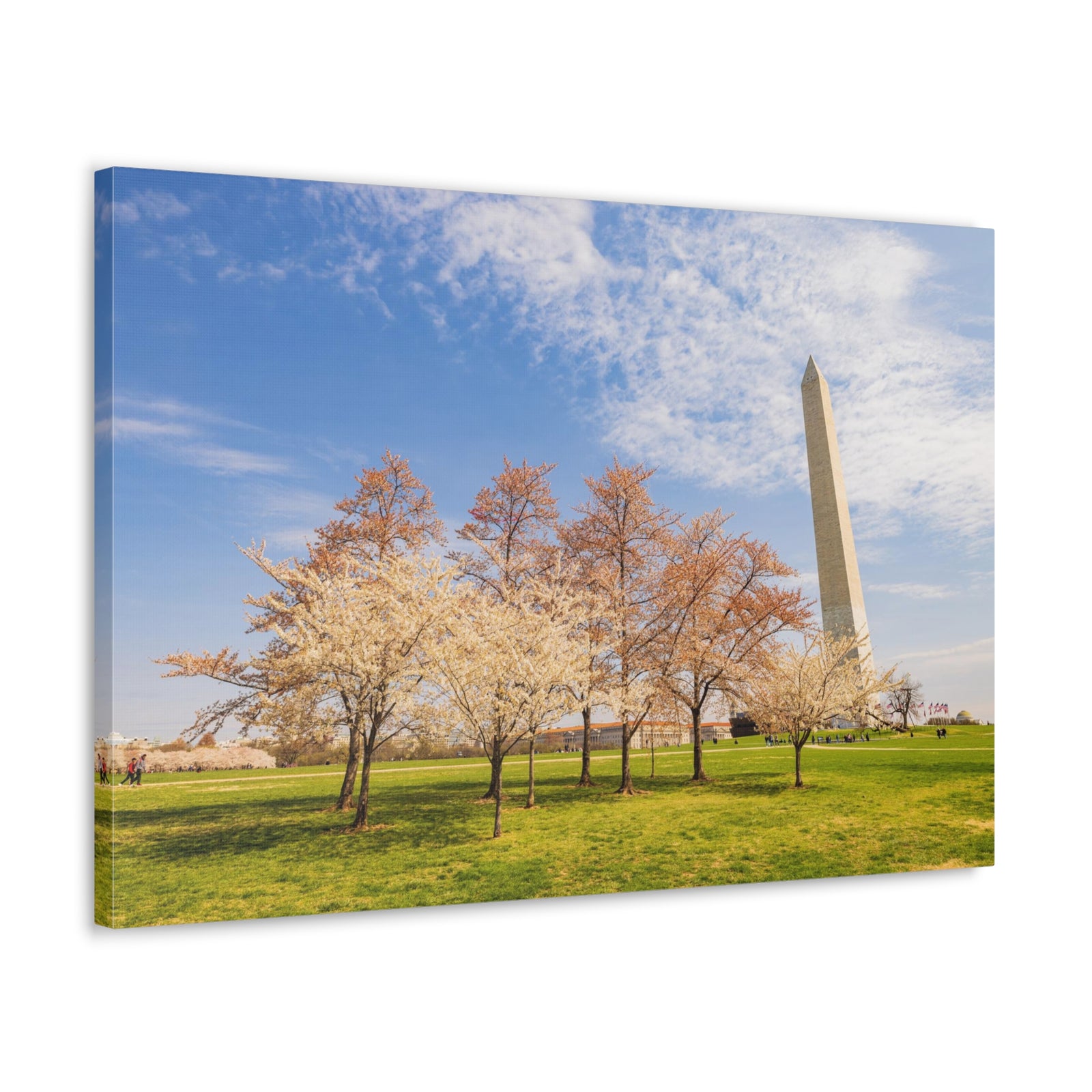 Pink Tree Cherry Blossom Festival at The National Mall Washington Modern Multicolor Scenic Nature Photography Canvas Home Office Decor Ready to Hang-Express Your Love Gifts