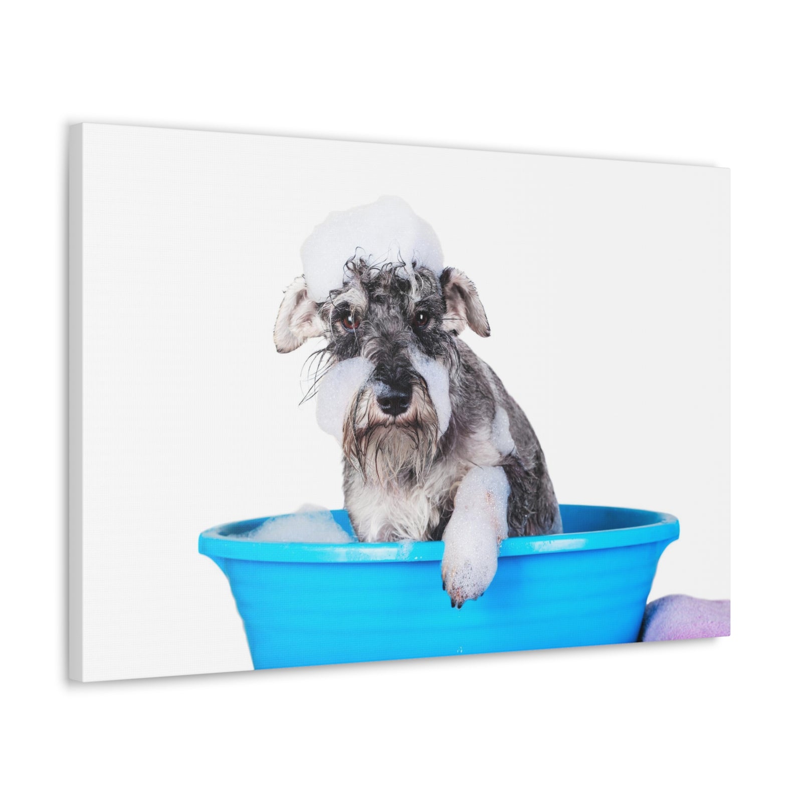 Cute Schnauzer Bath Canvas Wall Art for Home Decor Ready-to-Hang-Express Your Love Gifts