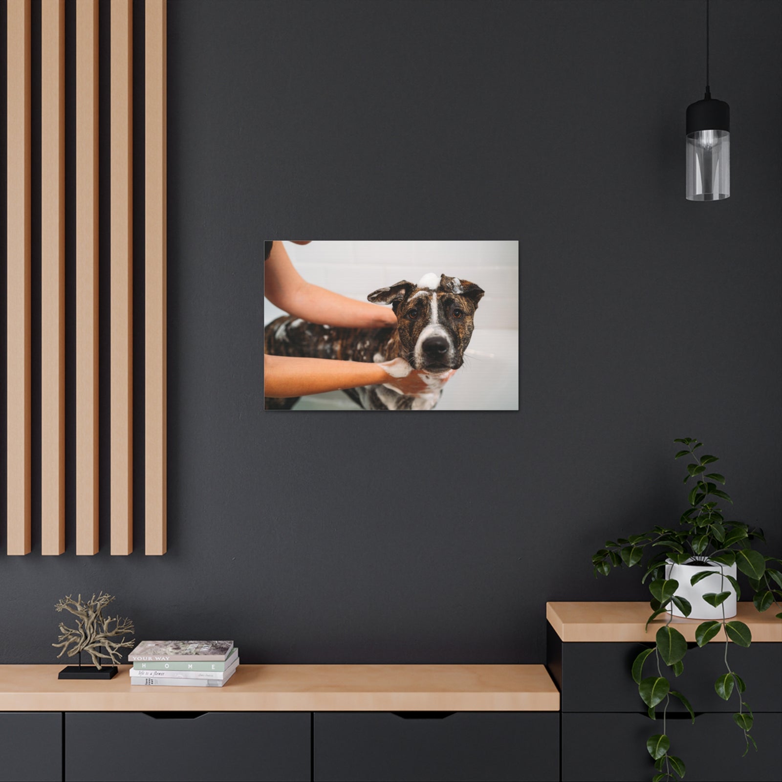 Cute American Staffordshire Terrier Bathee Canvas Wall Art for Home Decor Ready-to-Hang-Express Your Love Gifts