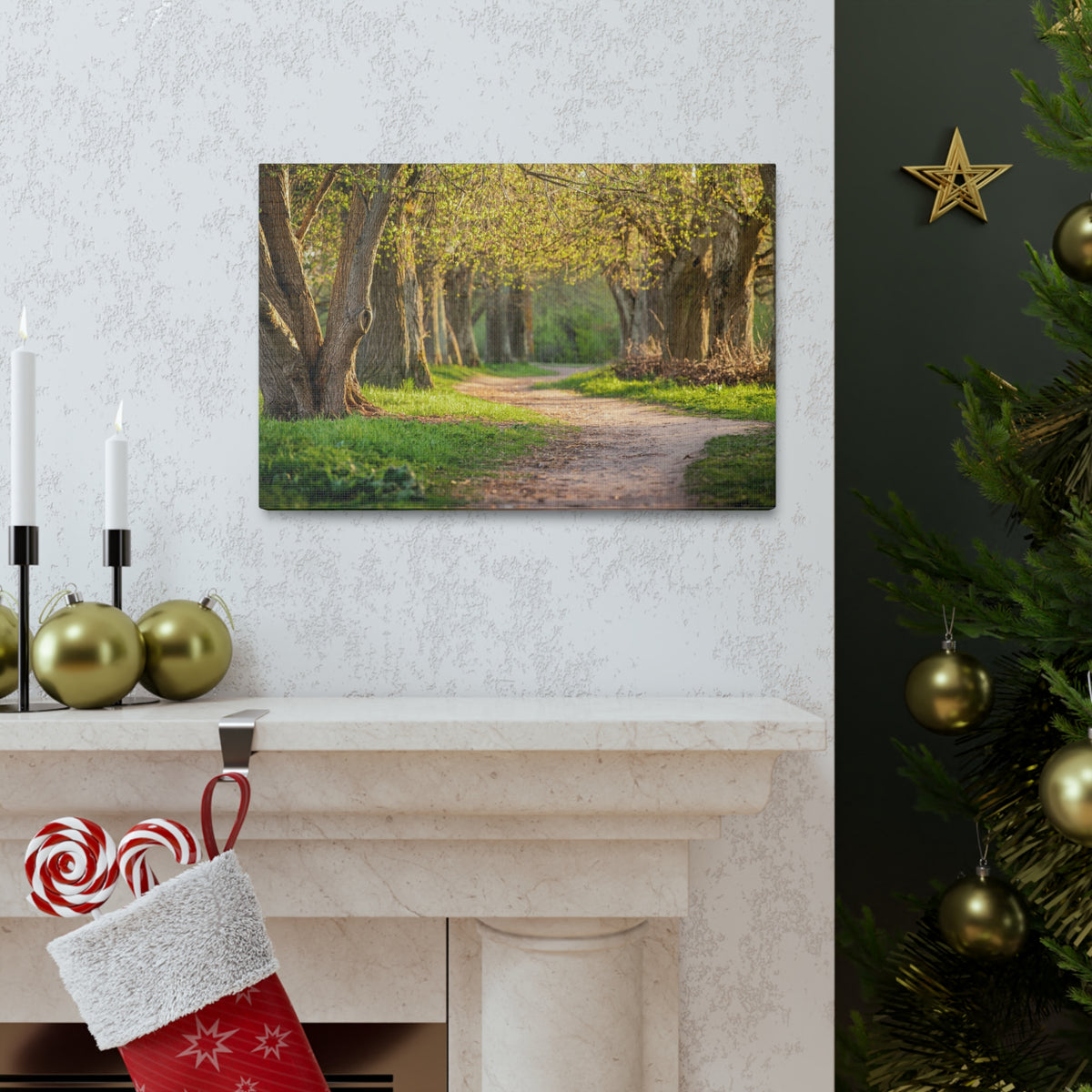 Tree Green Path Forest Nature Wilderness Photography Canvas Wall Art for Home Decor Ready-to-Hang-Express Your Love Gifts