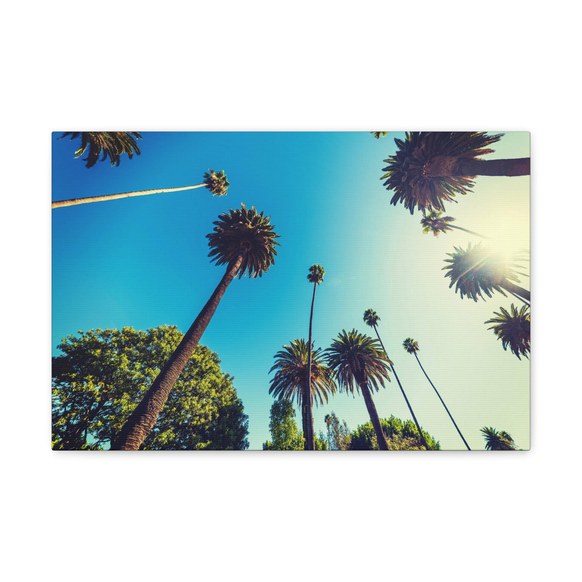 Los Angeles Sky Palm Trees Nature Wilderness Photography Canvas Wall Art for Home Decor Ready-to-Hang-Express Your Love Gifts