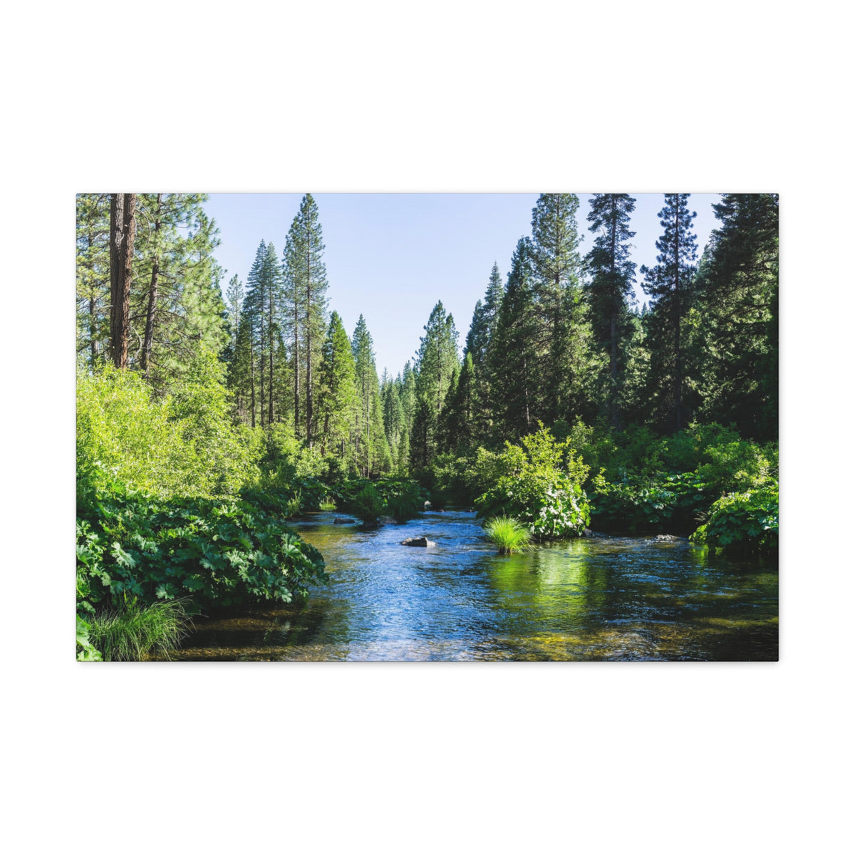 River Through The Green Forest Nature Wilderness Photography Canvas Wall Art for Home Decor Ready-to-Hang-Express Your Love Gifts