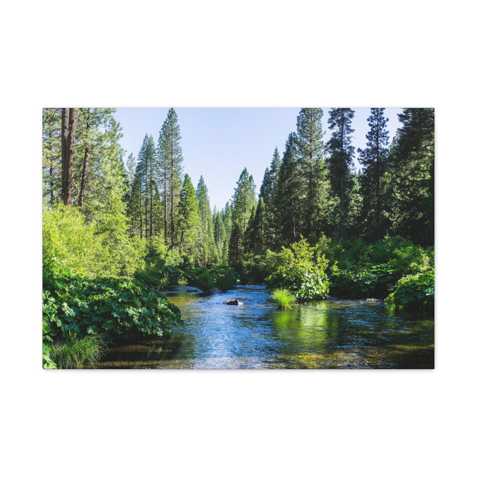 River Through The Green Forest Nature Wilderness Photography Canvas Wall Art for Home Decor Ready-to-Hang-Express Your Love Gifts