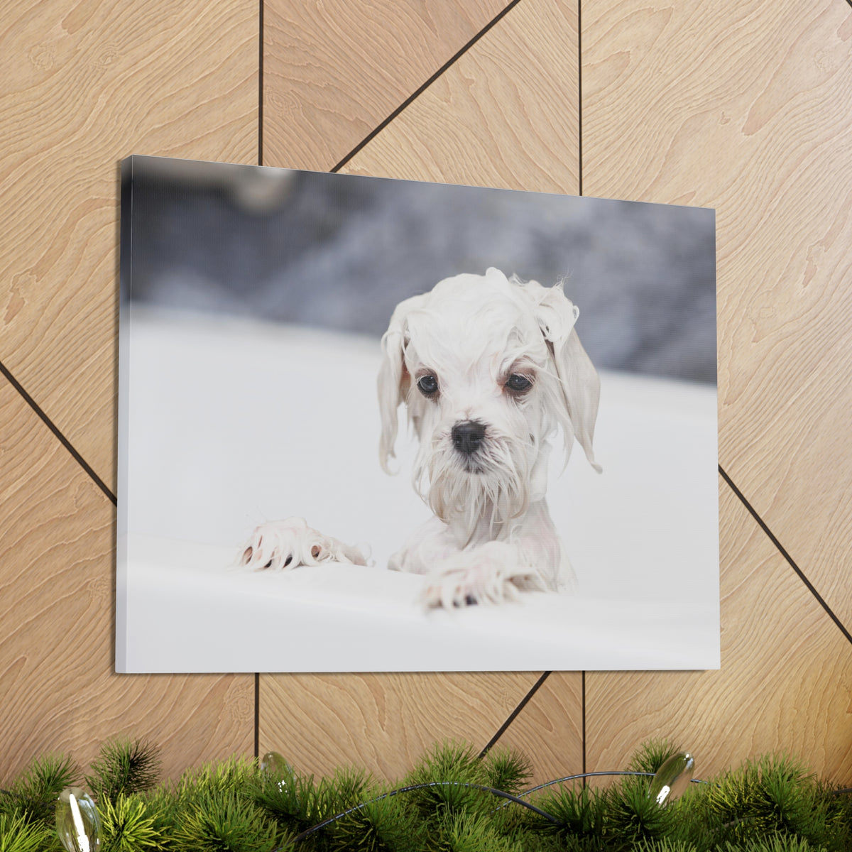 Cute White Maltese Bath Canvas Wall Art for Home Decor Ready-to-Hang-Express Your Love Gifts