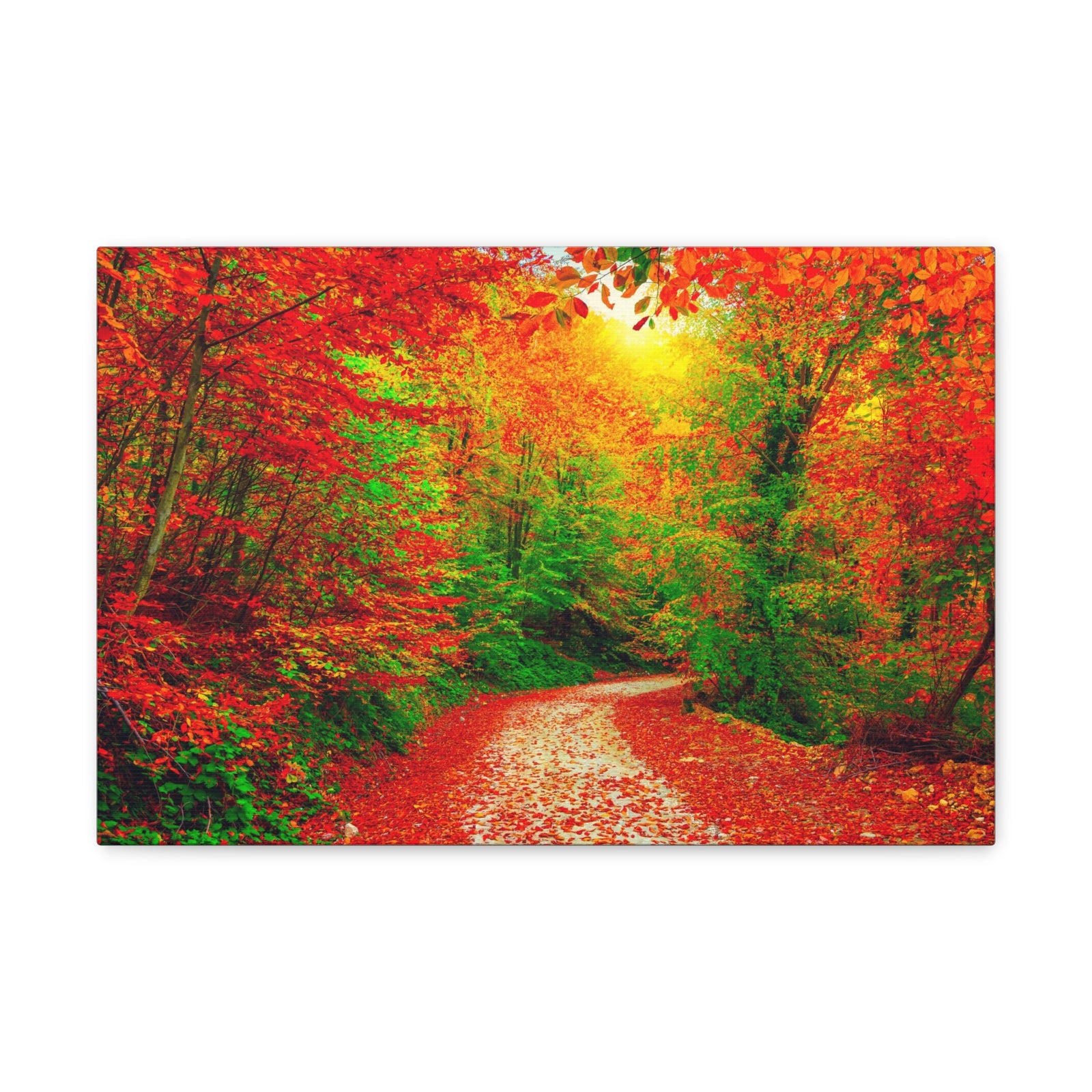 Colorful Trees Footpath Road Flower Canvas Wall Art for Home Decor Ready-to-Hang-Express Your Love Gifts