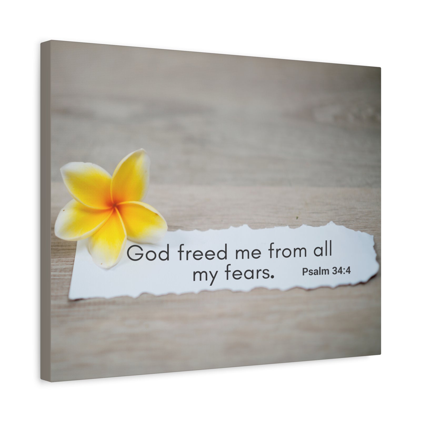 Scripture Walls God Freed Me Psalm 34:4 Bible Verse Canvas Christian Wall Art Ready to Hang-Express Your Love Gifts