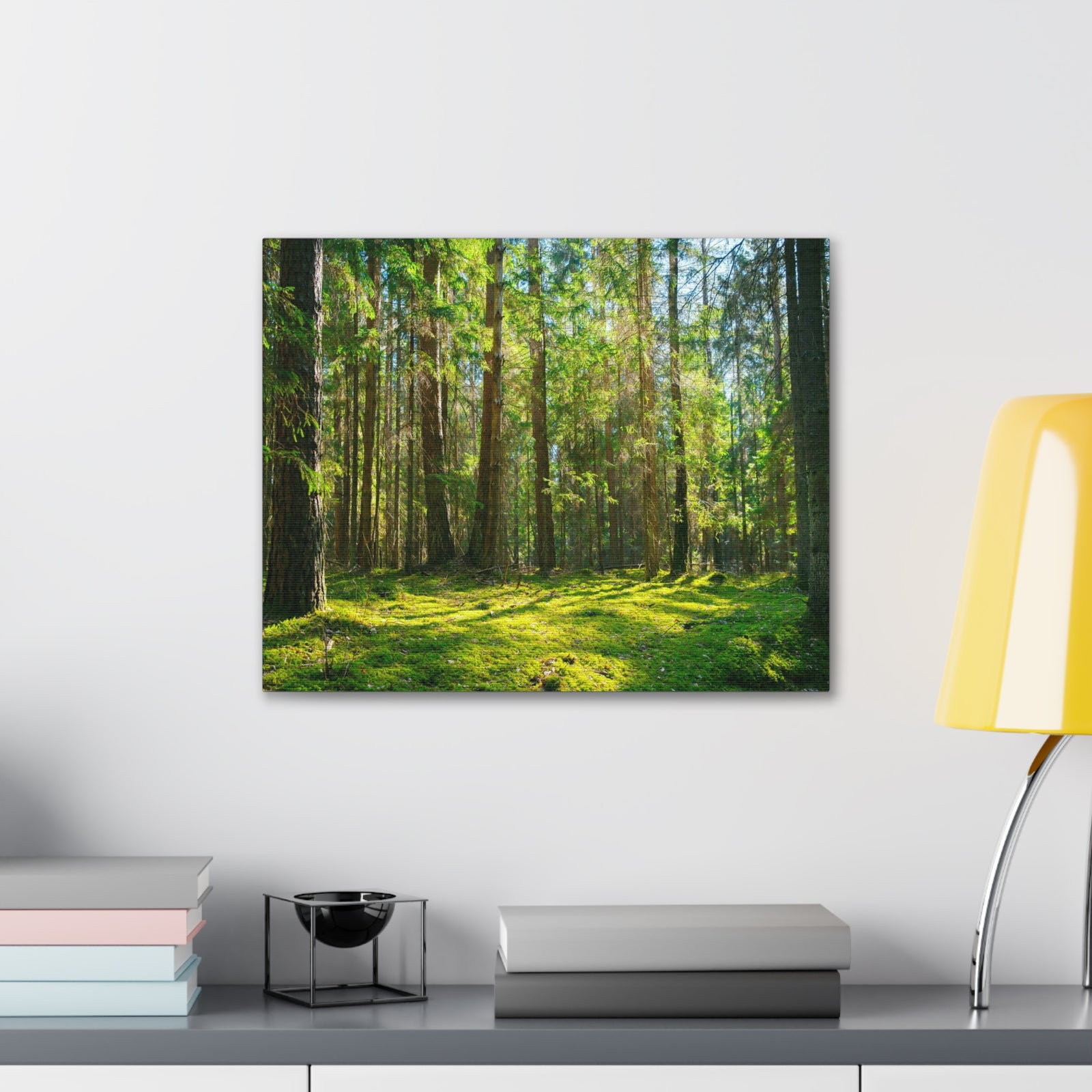 Sunlight Green Forest Tree Nature Wilderness Photography Canvas Wall Art for Home Decor Ready-to-Hang-Express Your Love Gifts