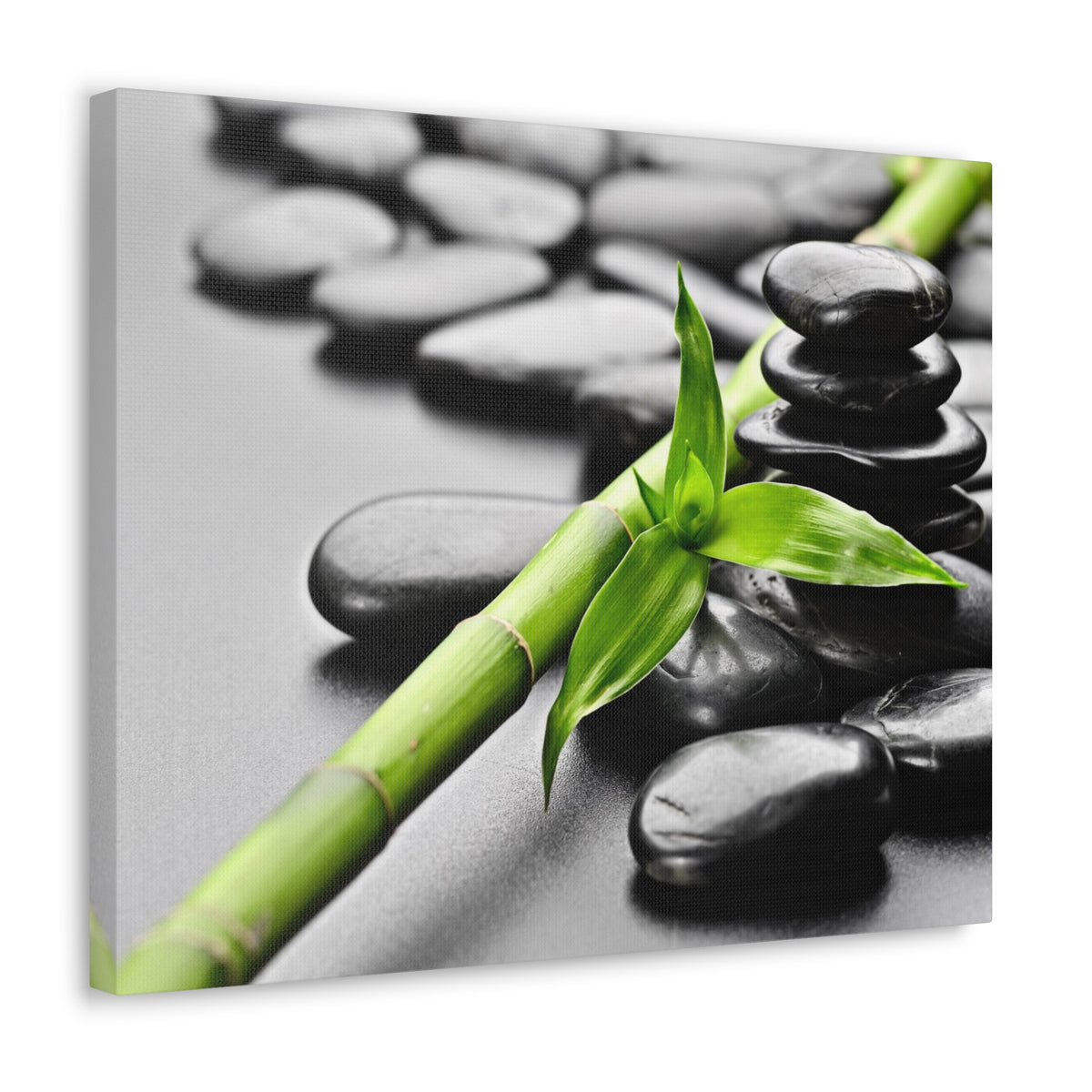 Basalt Stones on Black Forest Floral Nature Photography Canvas Wall Art for Home Decor Ready-to-Hang-Express Your Love Gifts