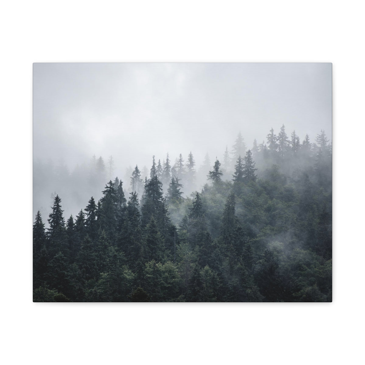 Foggy Pine Tree Green Forest Nature Wilderness Photography Canvas Wall Art for Home Decor Ready-to-Hang-Express Your Love Gifts