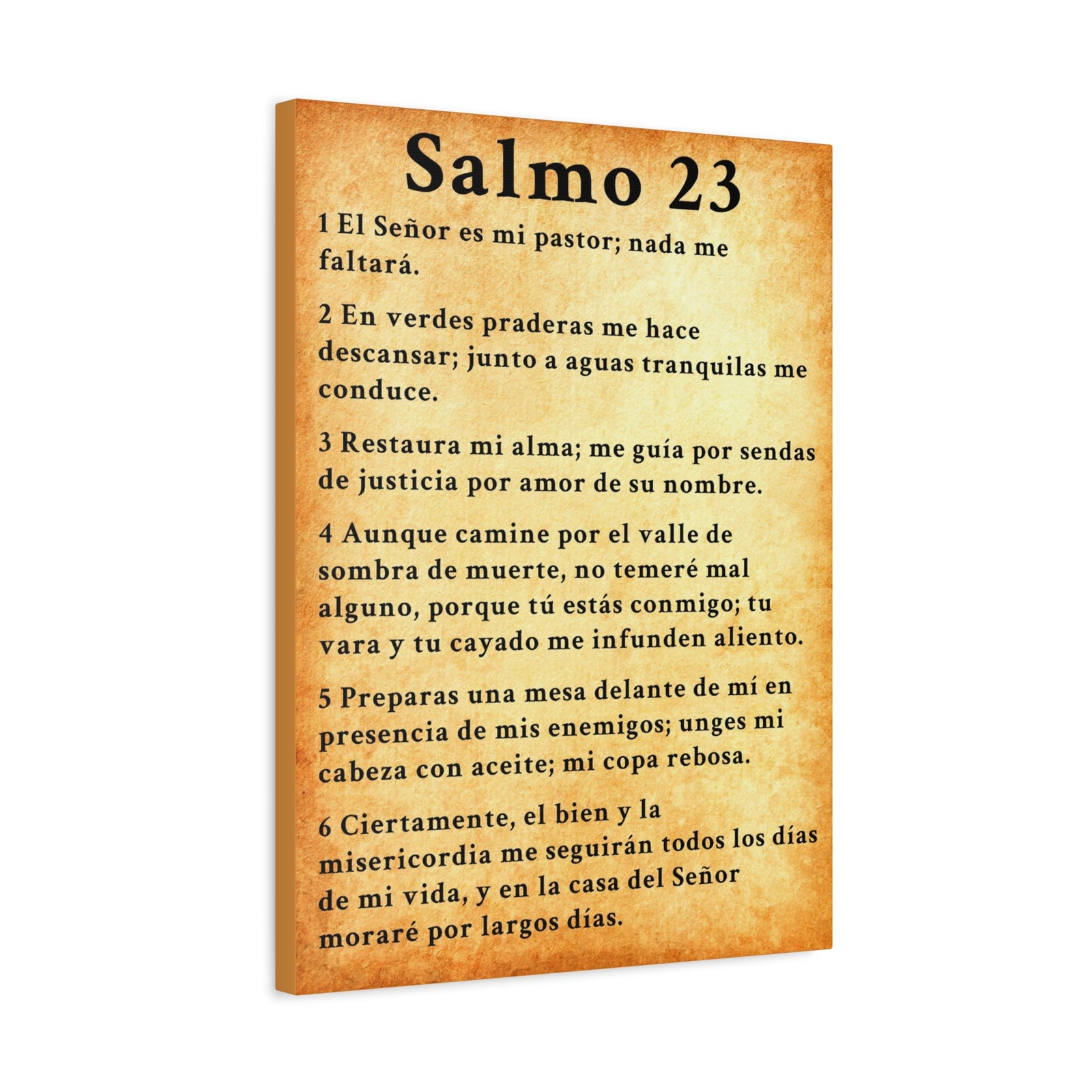 Scripture Walls Salmo 23 Chapter Gold Christian Wall Art Print Ready to Hang Unframed-Express Your Love Gifts