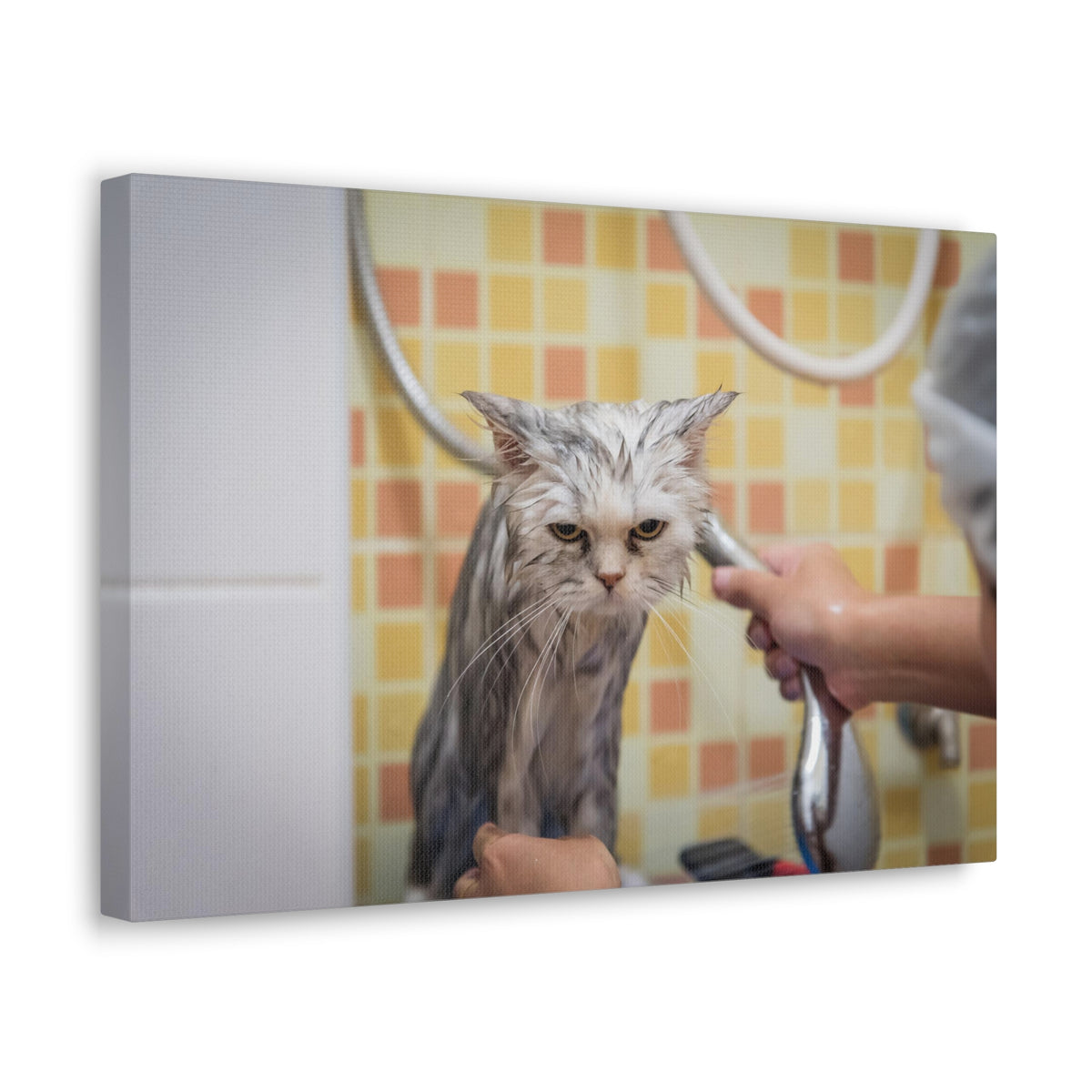Cute Maine Coon Bath Canvas Wall Art for Home Decor Ready-to-Hang-Express Your Love Gifts