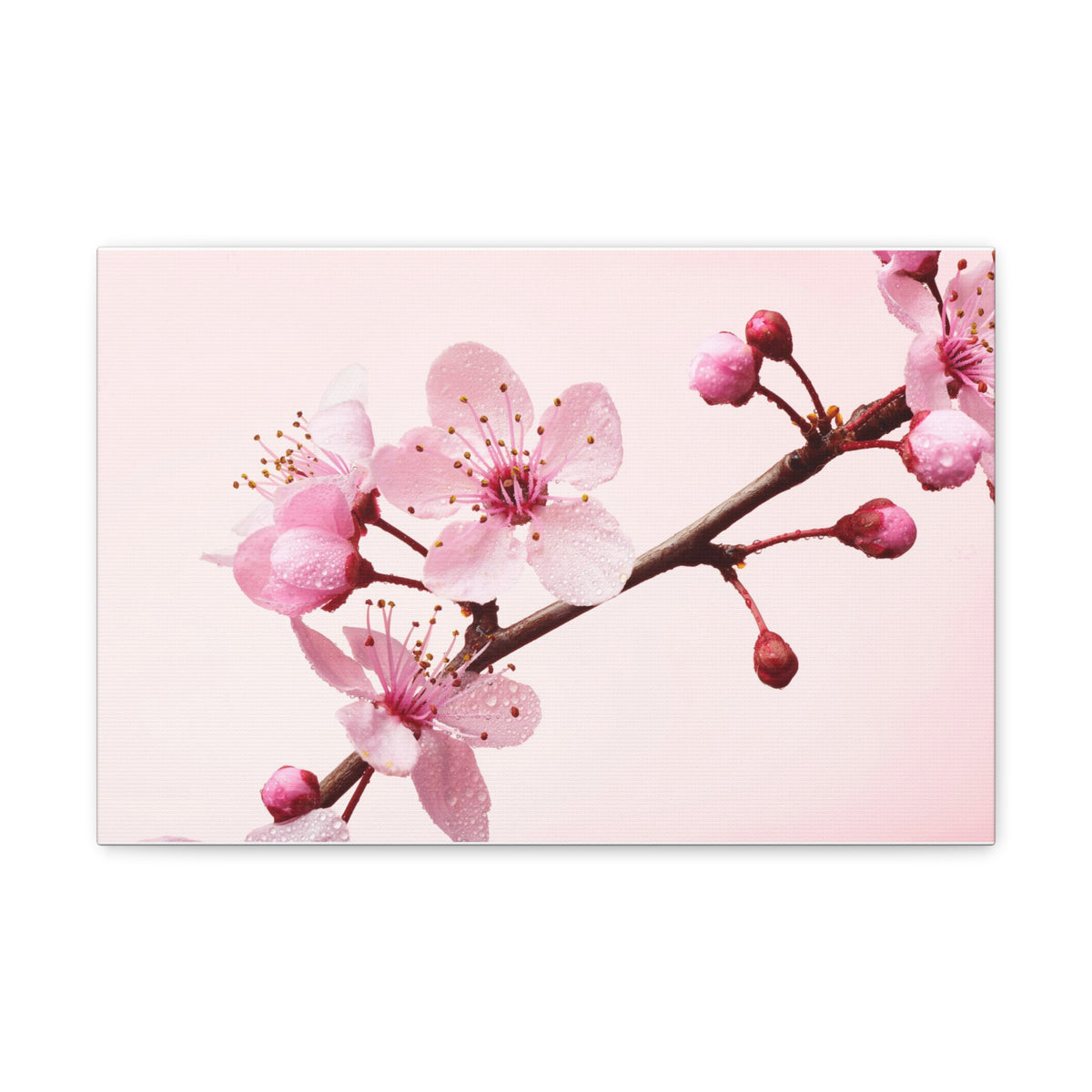 Cherry Blossom Branch Forest Floral Nature Photography Canvas Wall Art for Home Decor Ready-to-Hang-Express Your Love Gifts