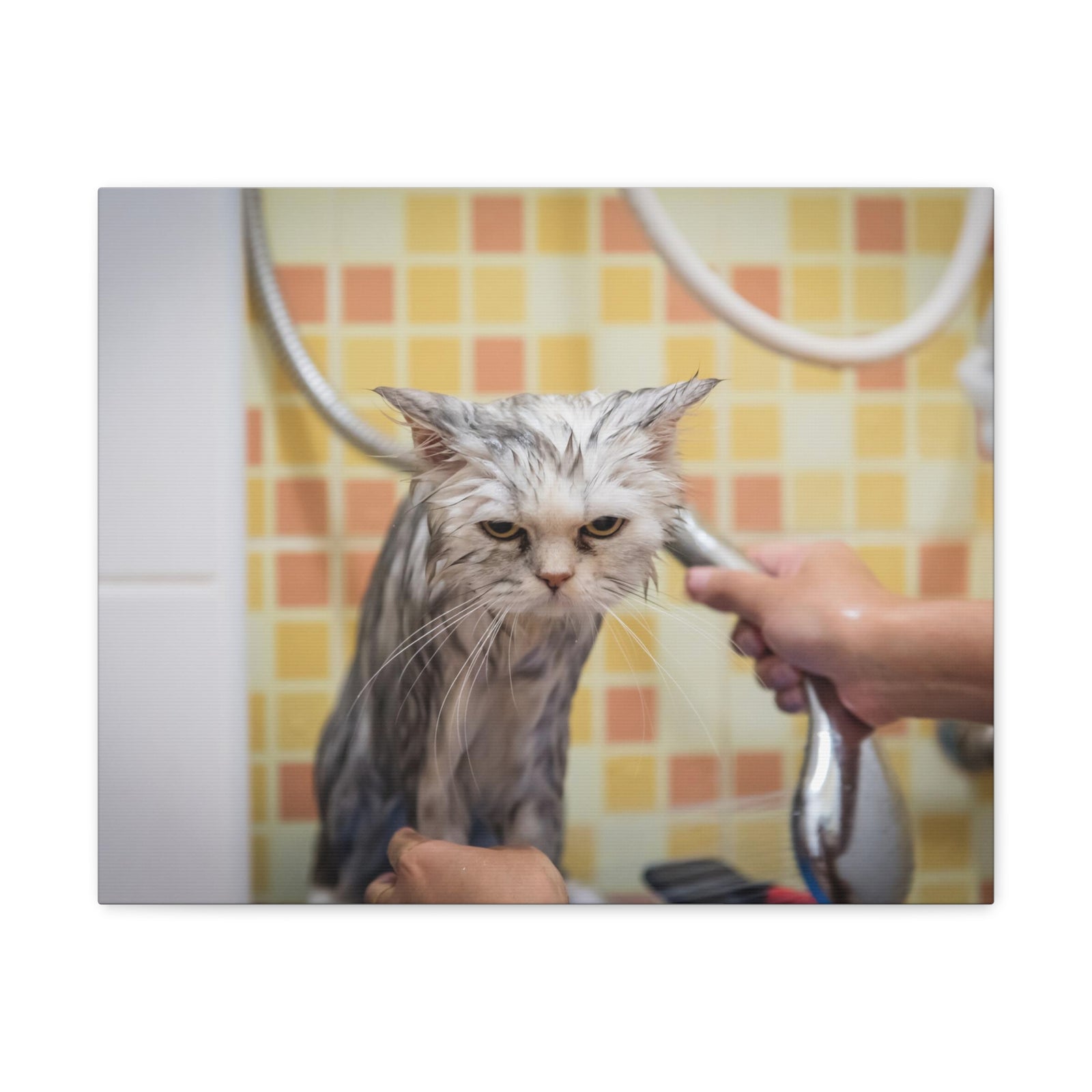 Cute Maine Coon Bath Canvas Wall Art for Home Decor Ready-to-Hang-Express Your Love Gifts
