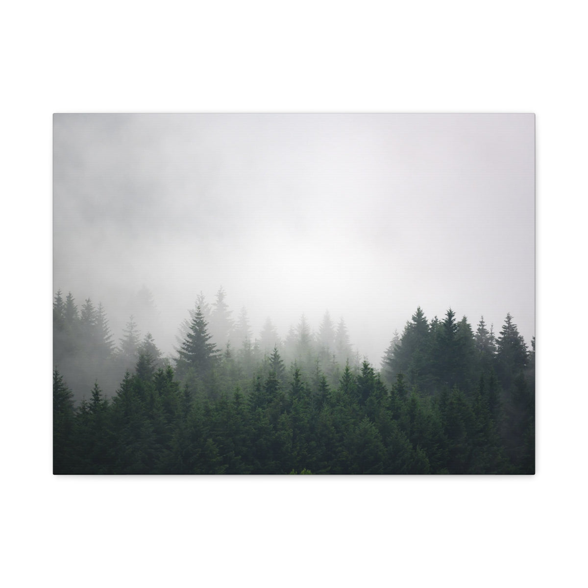 Foggy Dark Forest Nature Wilderness Photography Canvas Wall Art for Home Decor Ready-to-Hang-Express Your Love Gifts