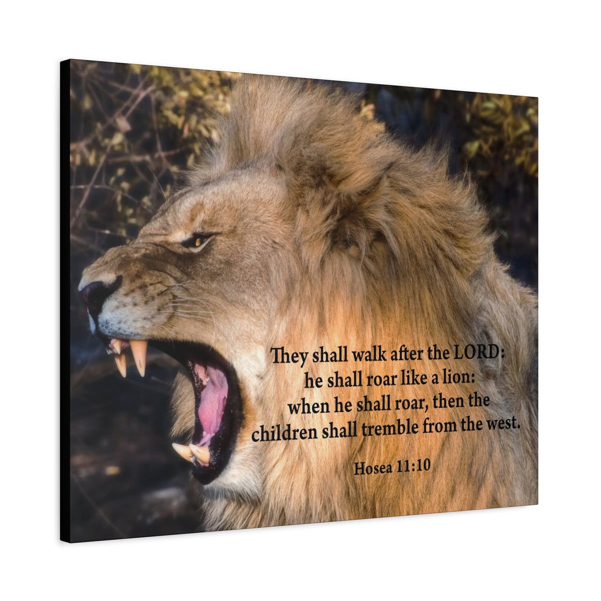 Scripture Canvas Roaring Lion of Judah Hosea 11:10 Christian Wall Art Bible Verse Print Ready to Hang-Express Your Love Gifts
