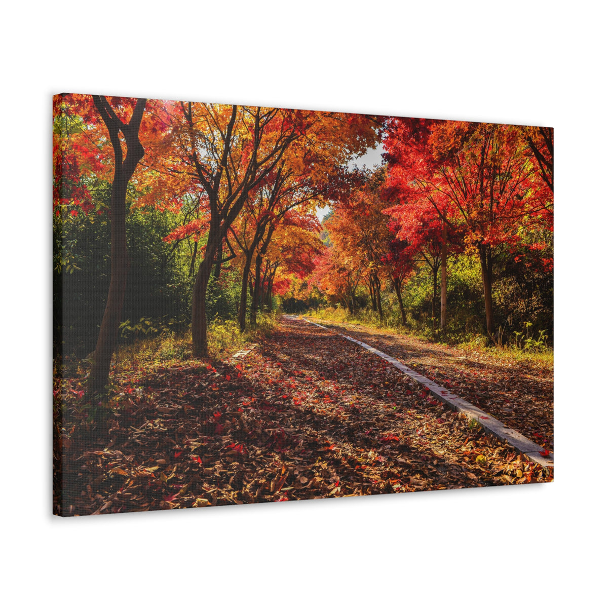 Orange Tree Path Autumn Park Nature Wilderness Photography Canvas Wall Art for Home Decor Ready-to-Hang-Express Your Love Gifts