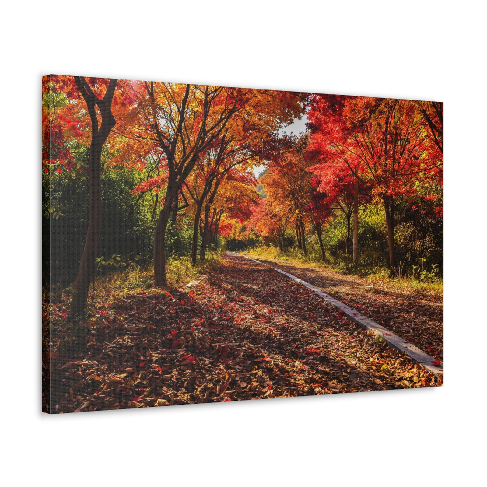 Orange Tree Path Autumn Park Nature Wilderness Photography Canvas Wall Art for Home Decor Ready-to-Hang-Express Your Love Gifts