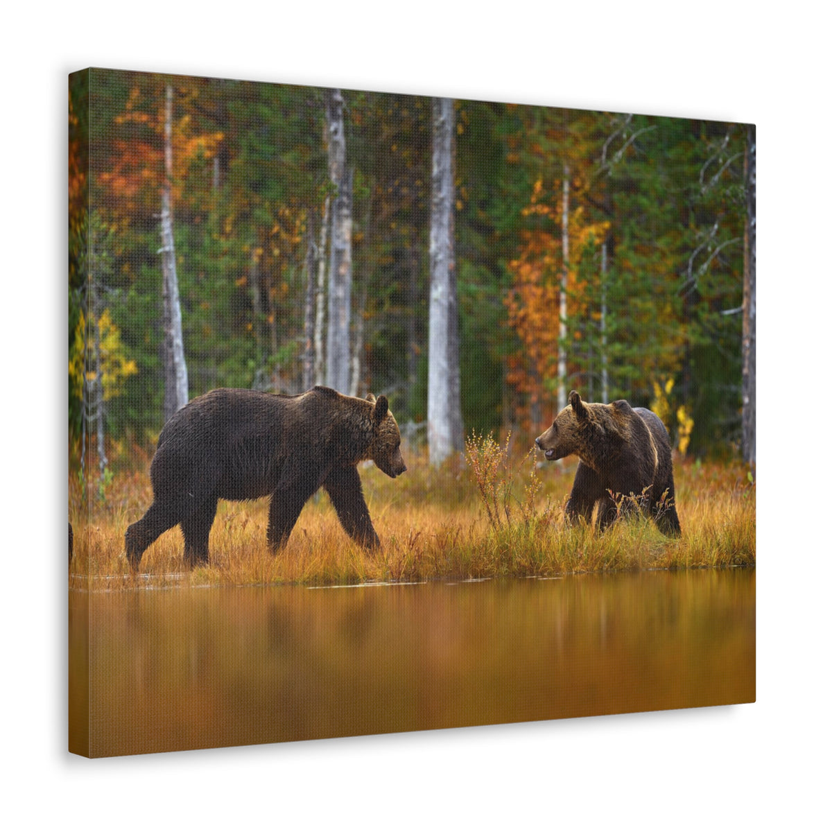 Spring Forest Bears Nature Wilderness Photography Canvas Wall Art for Home Decor Ready-to-Hang-Express Your Love Gifts