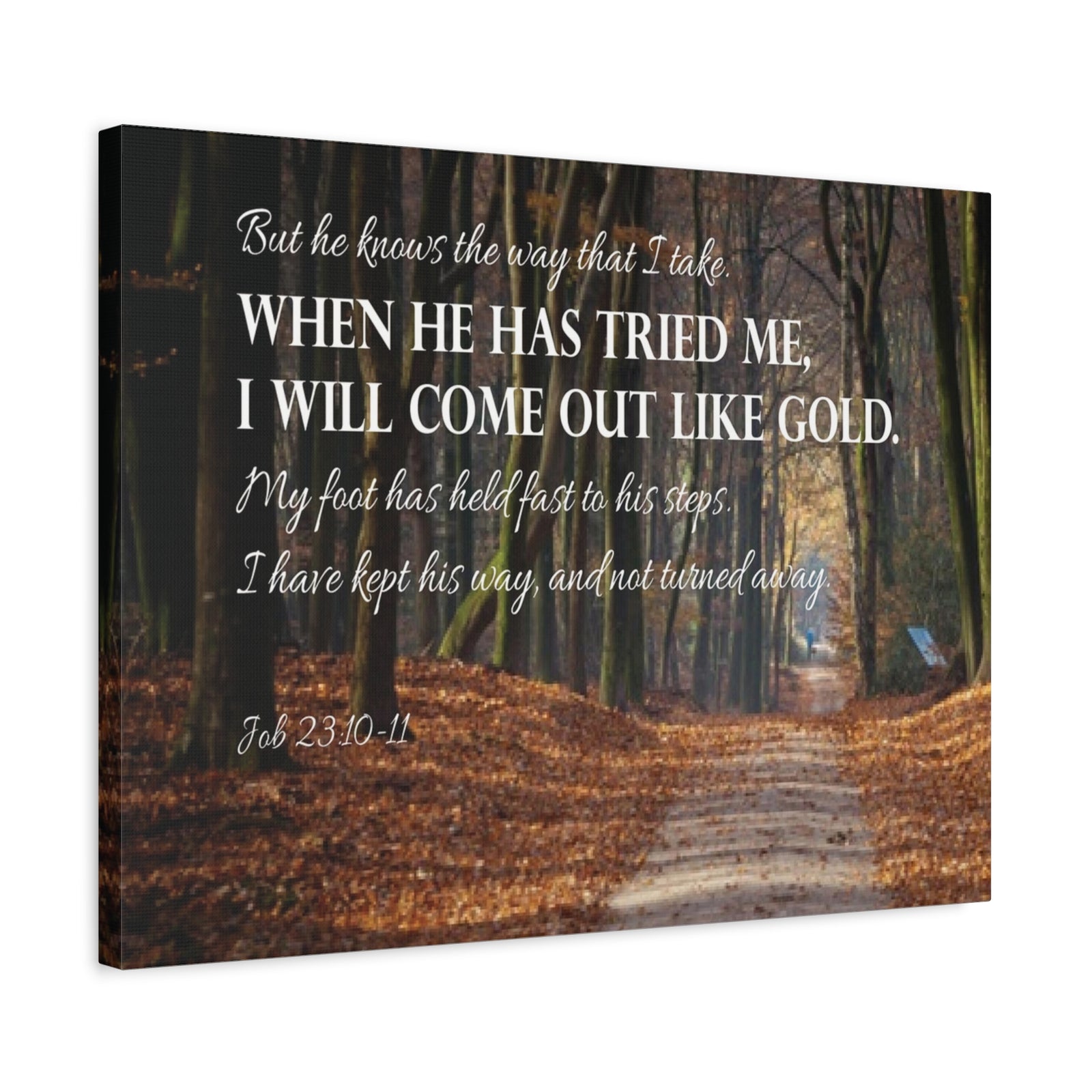 Bible Verse Canvas Come Out Like Gold Job 23:10-11 Scripture Wall Art Christian Home Decor-Express Your Love Gifts