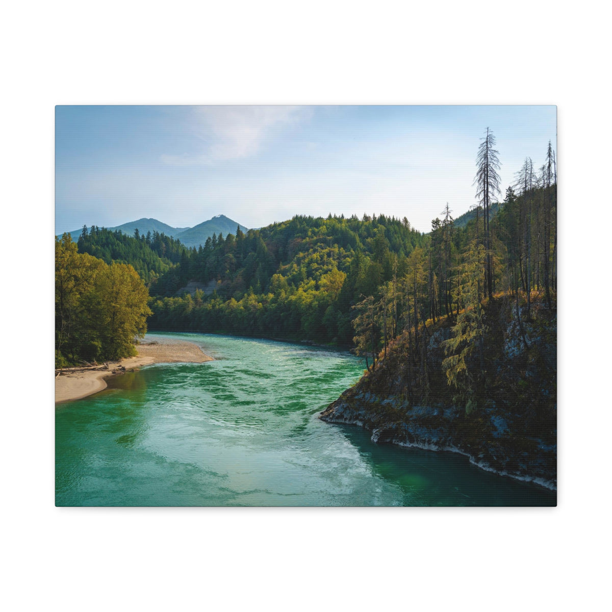 River Through Pine Tree Green Forest Nature Wilderness Photography Canvas Wall Art for Home Decor Ready-to-Hang-Express Your Love Gifts