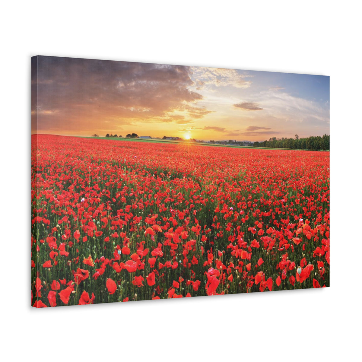 Nice Sunset Over Poppy Field Flower Canvas Wall Art for Home Decor Ready-to-Hang-Express Your Love Gifts
