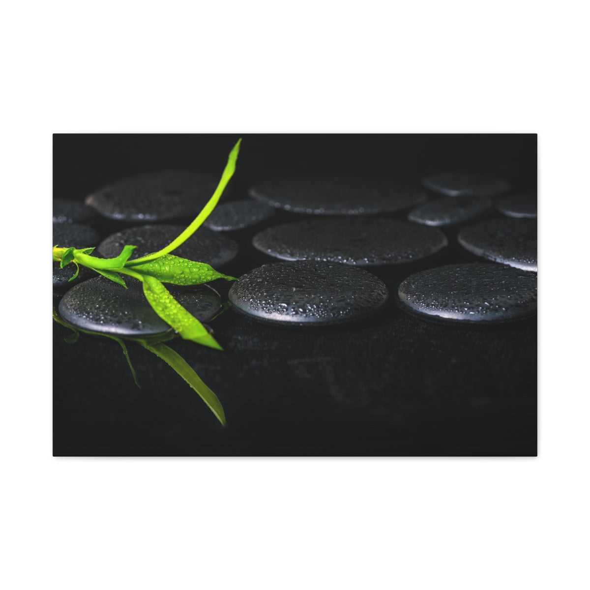 Green Bamboo on Stones Forest Floral Nature Photography Canvas Wall Art for Home Decor Ready-to-Hang-Express Your Love Gifts