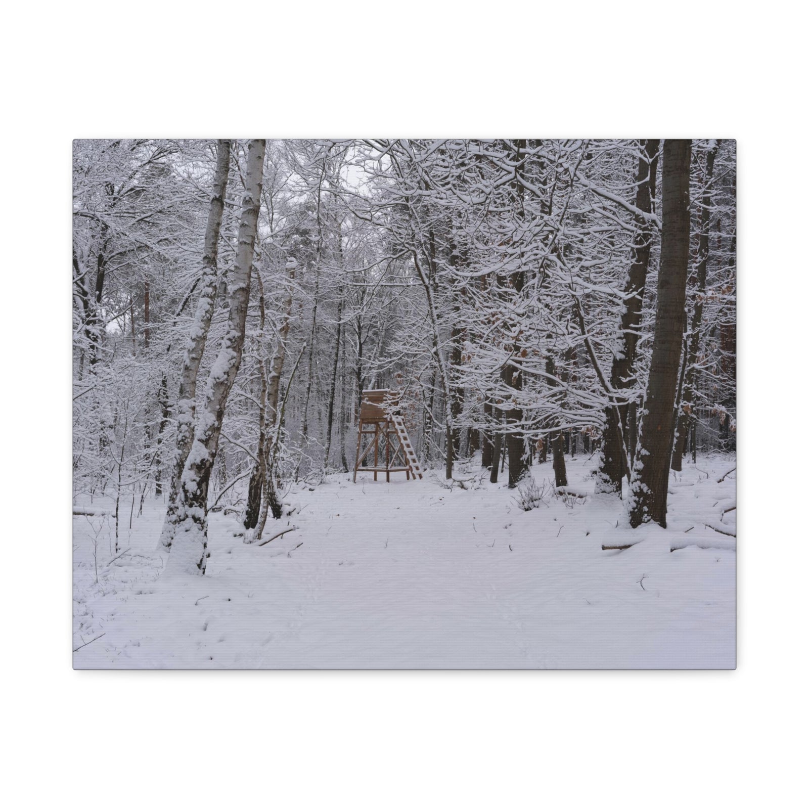 Forest Winter Tree Snow Nature Wilderness Photography Canvas Wall Art for Home Decor Ready-to-Hang-Express Your Love Gifts