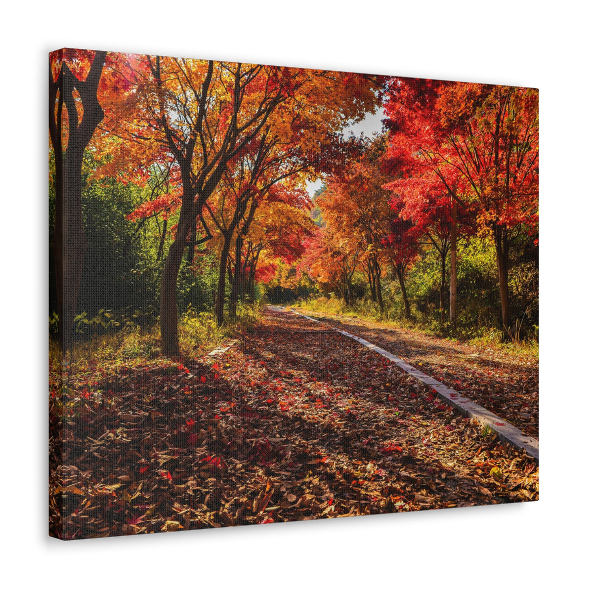 Orange Tree Path Autumn Park Nature Wilderness Photography Canvas Wall Art for Home Decor Ready-to-Hang-Express Your Love Gifts