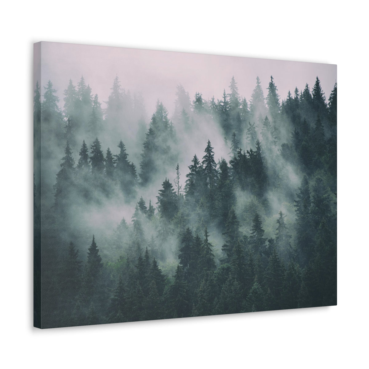 Misty Green Forest Pine Tree Nature Wilderness Photography Canvas Wall Art for Home Decor Ready-to-Hang-Express Your Love Gifts