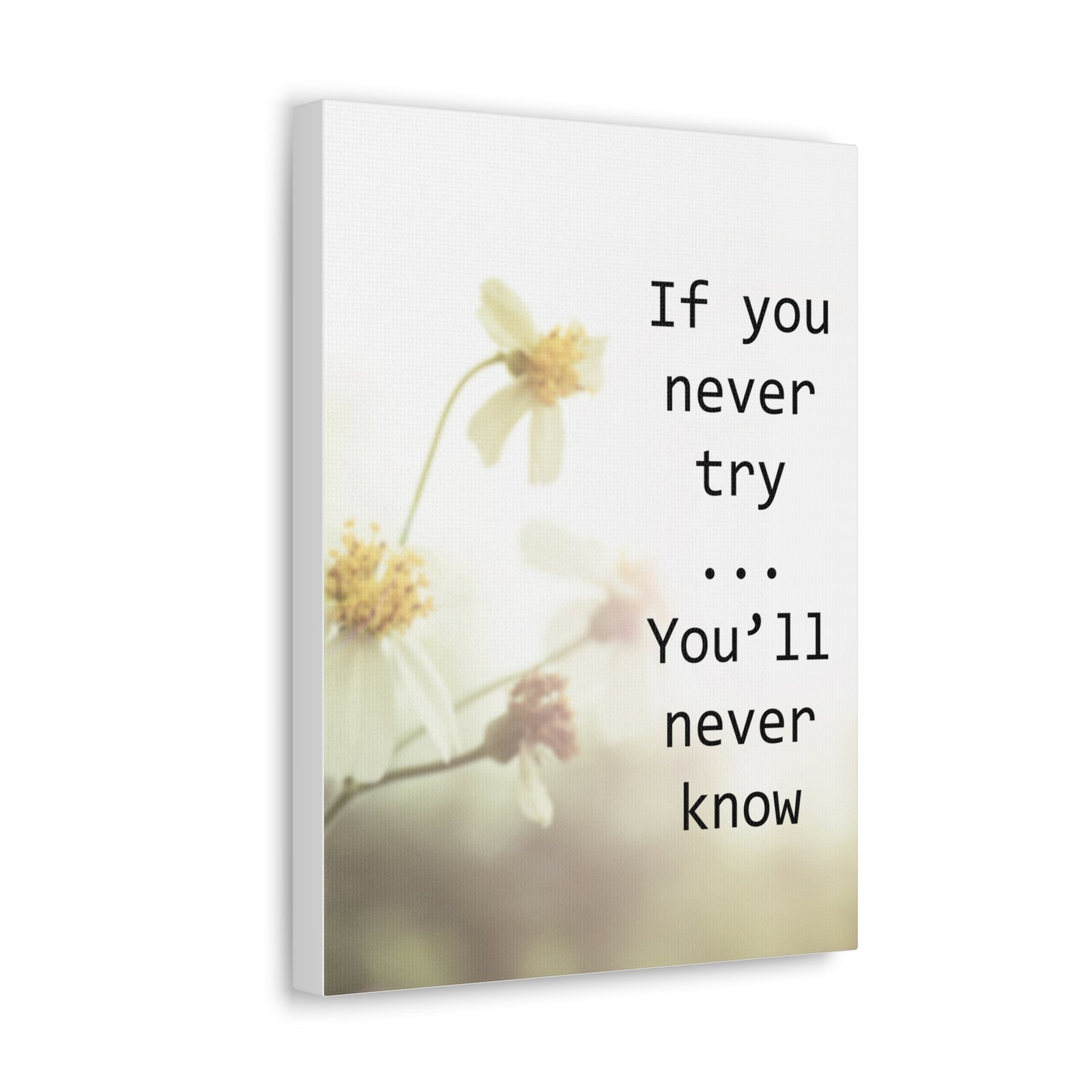 Inspirational Quote Canvas If You Never Try You'll Never Know Wall Art Motivational Motto Inspiring Prints Artwork Decor Ready to Hang-Express Your Love Gifts