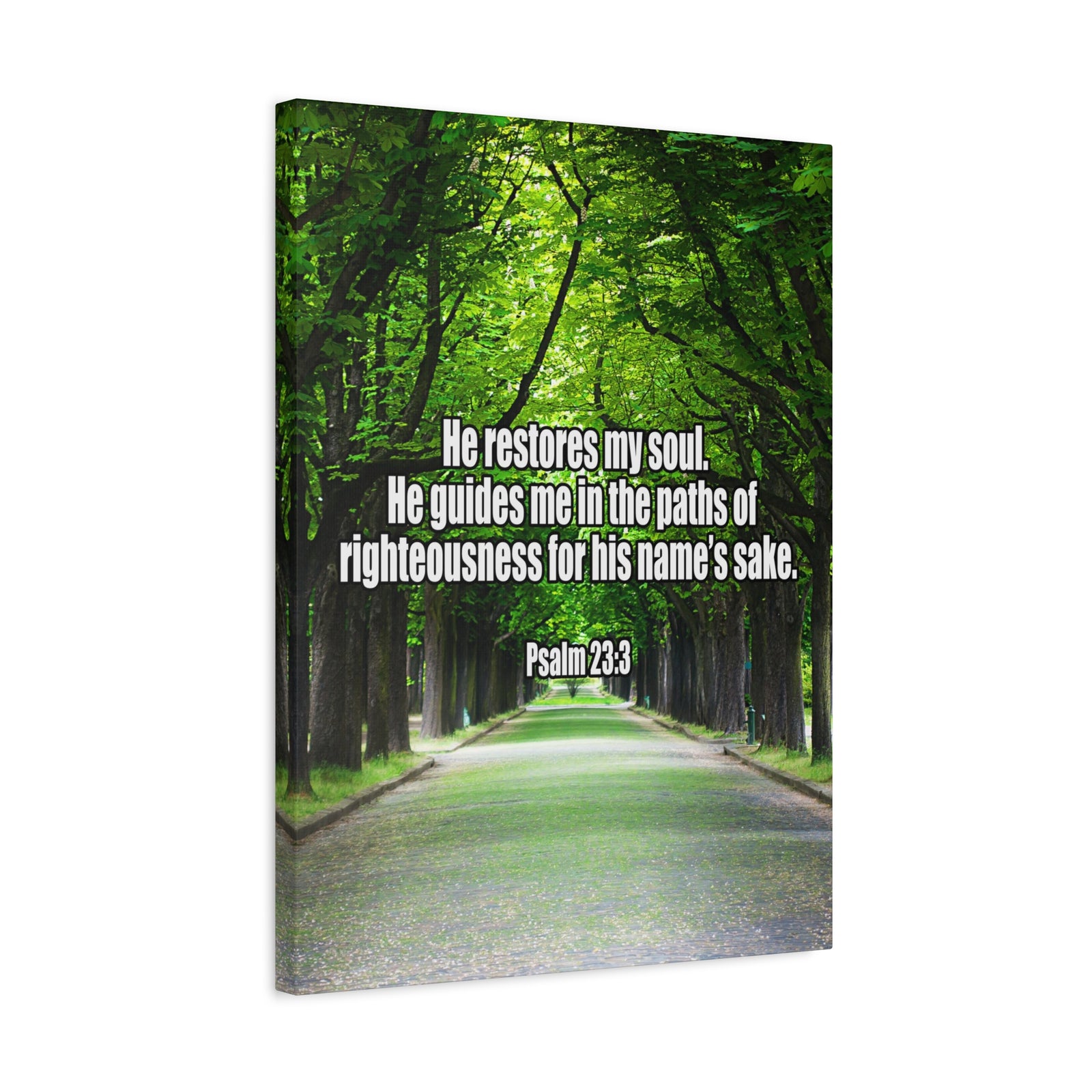 Bible Verse Canvas You Restore My Soul Psalm 23:3 Wall Art Christian Home Decor-Express Your Love Gifts