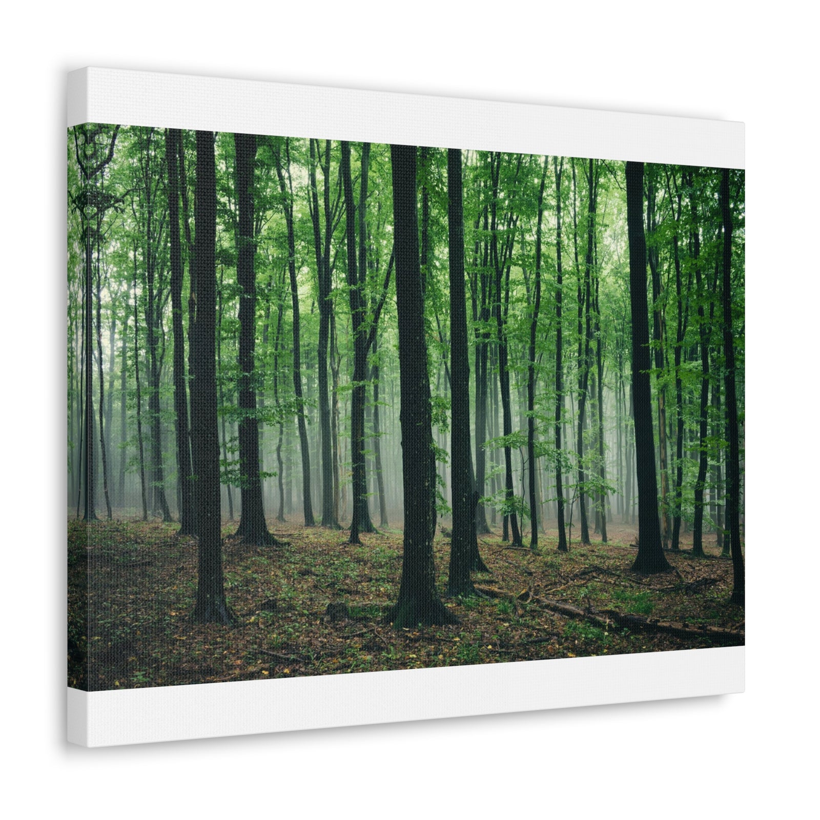 Misty Green Pine Tree Forest Nature Wilderness Photography Canvas Wall Art for Home Decor Ready-to-Hang-Express Your Love Gifts