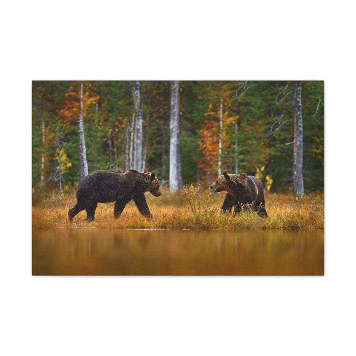 Spring Forest Bears Nature Wilderness Photography Canvas Wall Art for Home Decor Ready-to-Hang-Express Your Love Gifts
