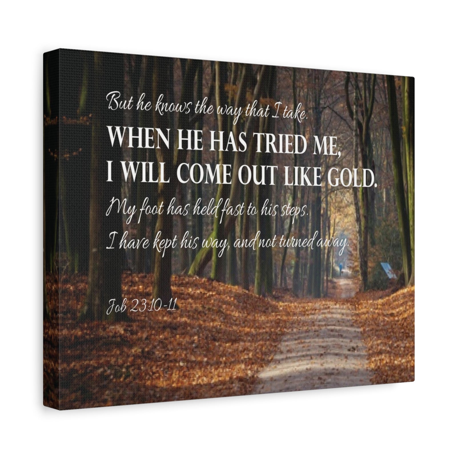 Bible Verse Canvas Come Out Like Gold Job 23:10-11 Scripture Wall Art Christian Home Decor-Express Your Love Gifts