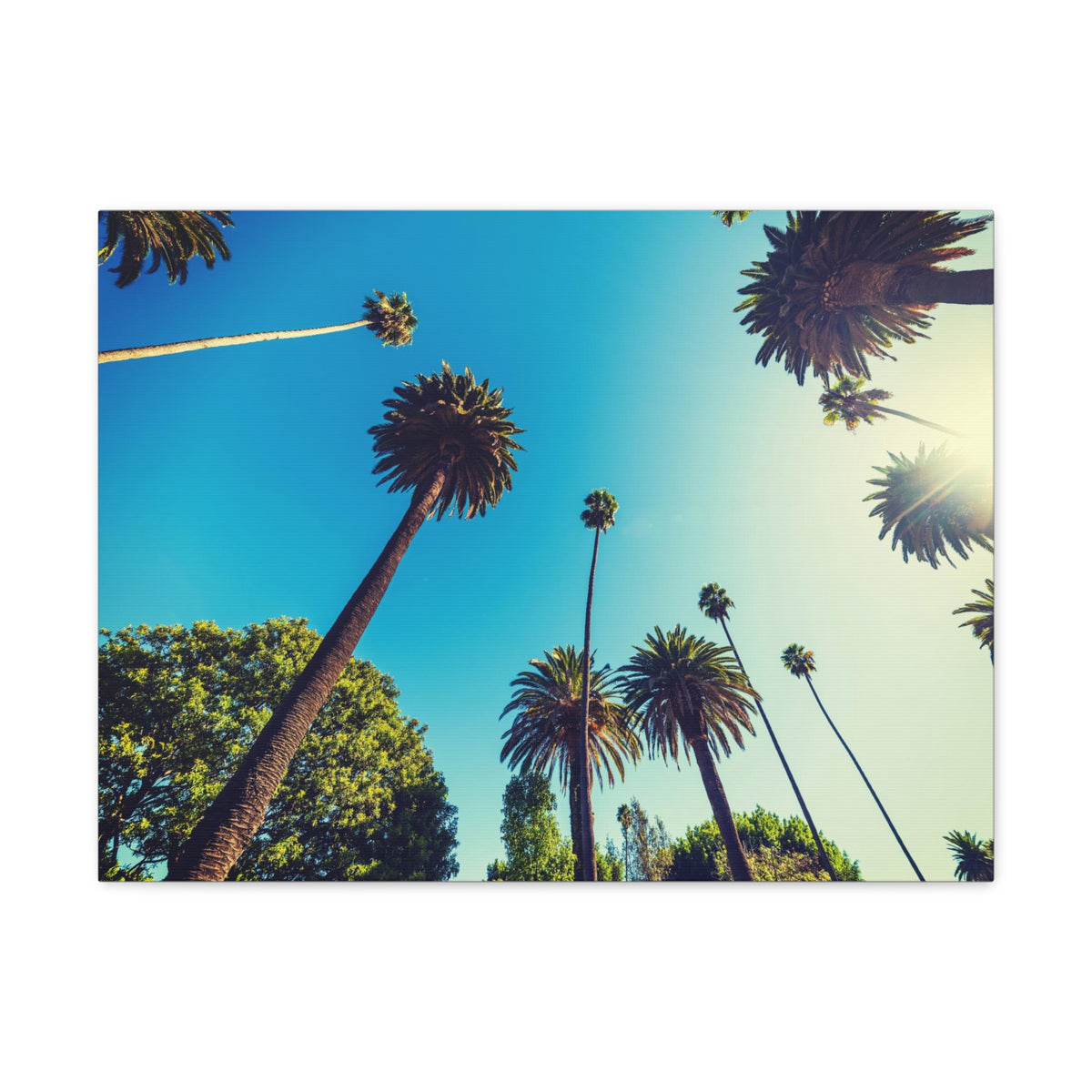 Los Angeles Sky Palm Trees Nature Wilderness Photography Canvas Wall Art for Home Decor Ready-to-Hang-Express Your Love Gifts